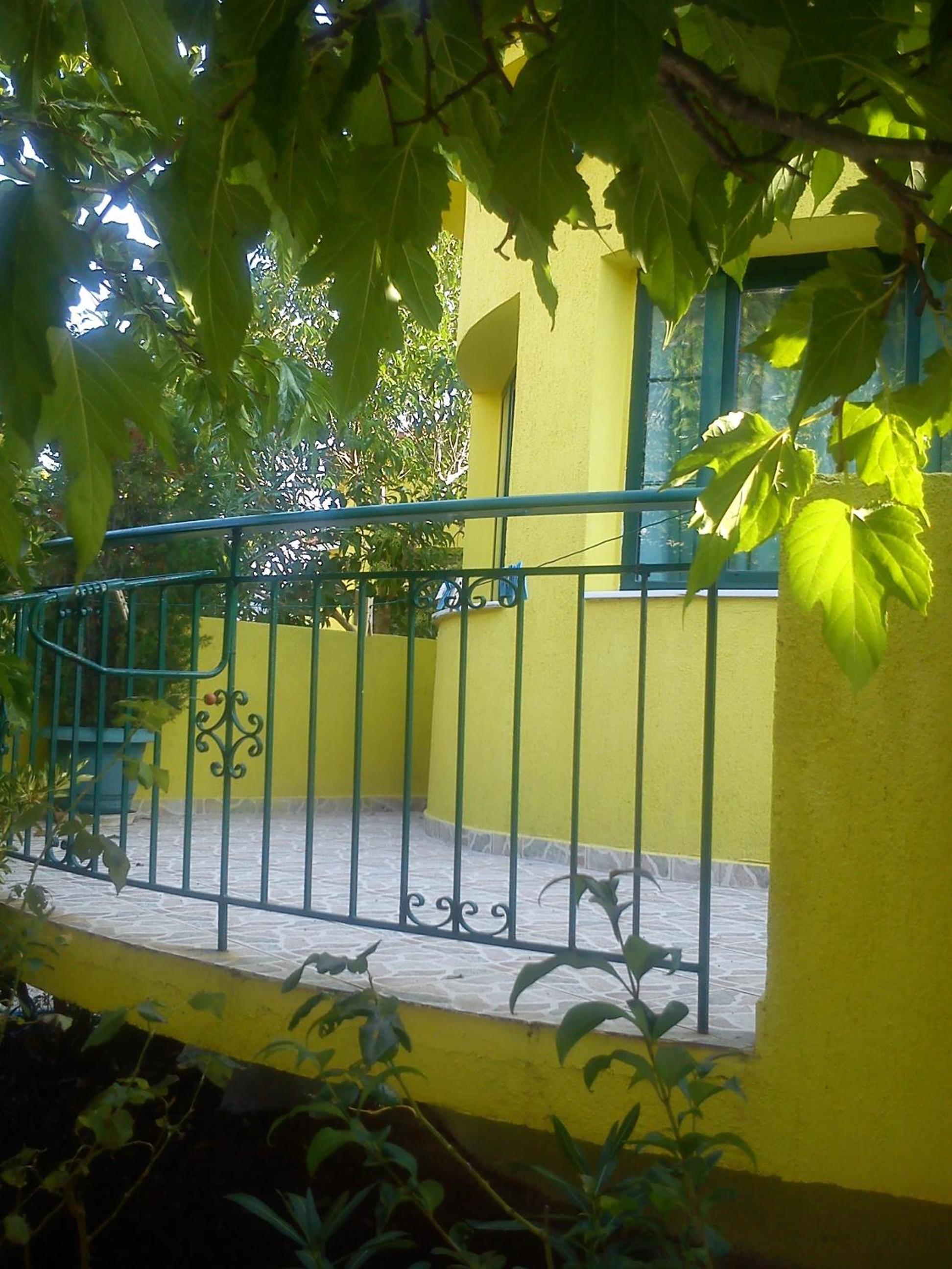 Photo 26