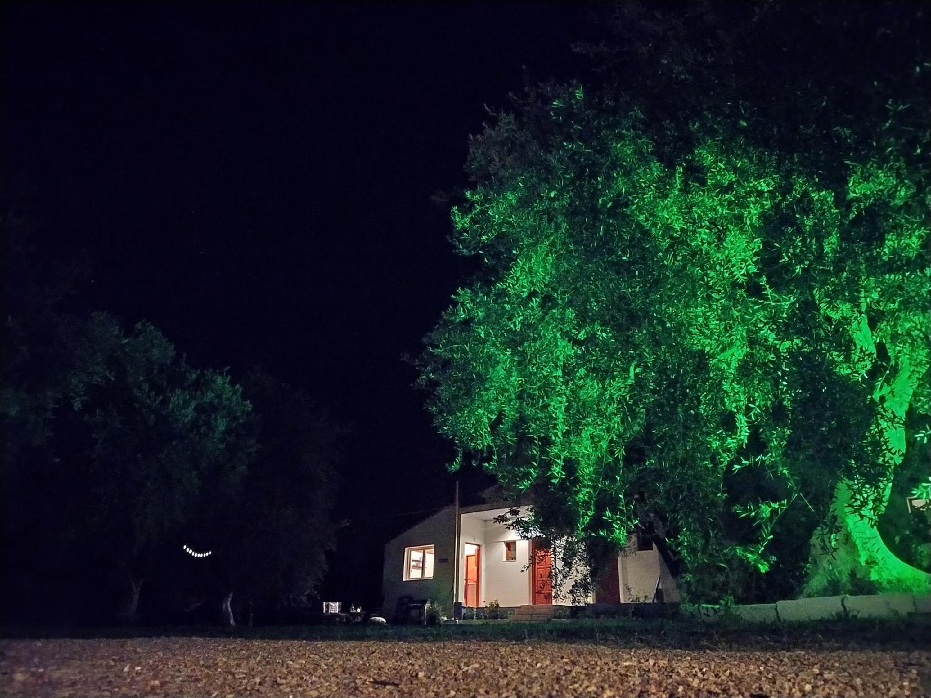 Photo 18