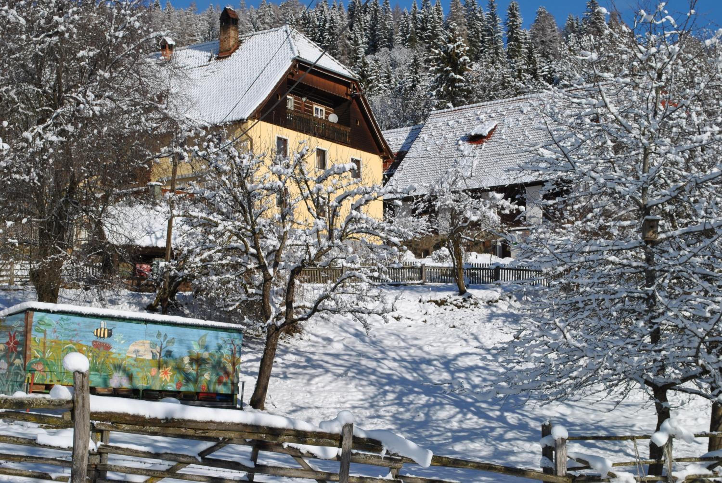 Schlintl-Hof