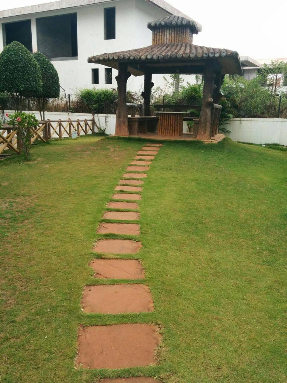 Photo 11