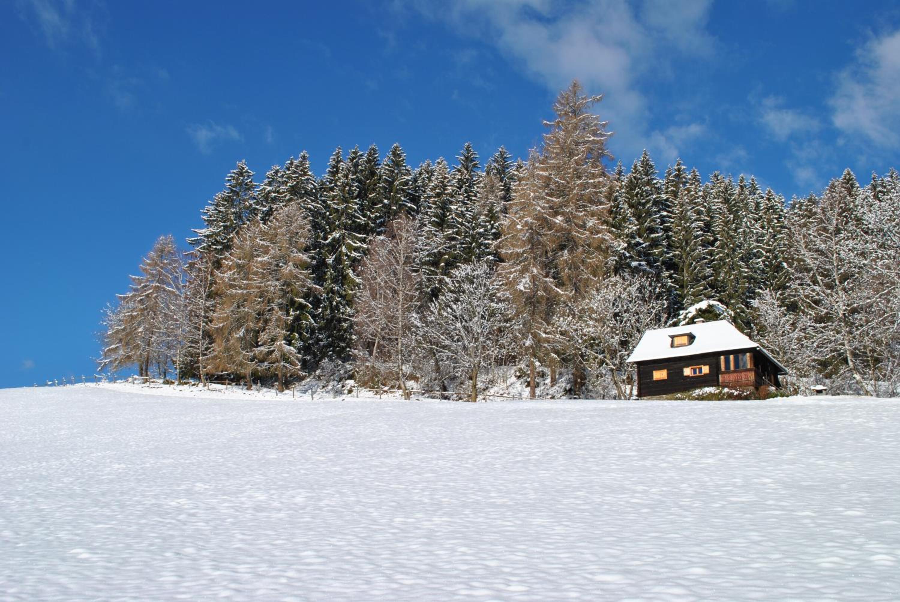 Schlintl-Hof