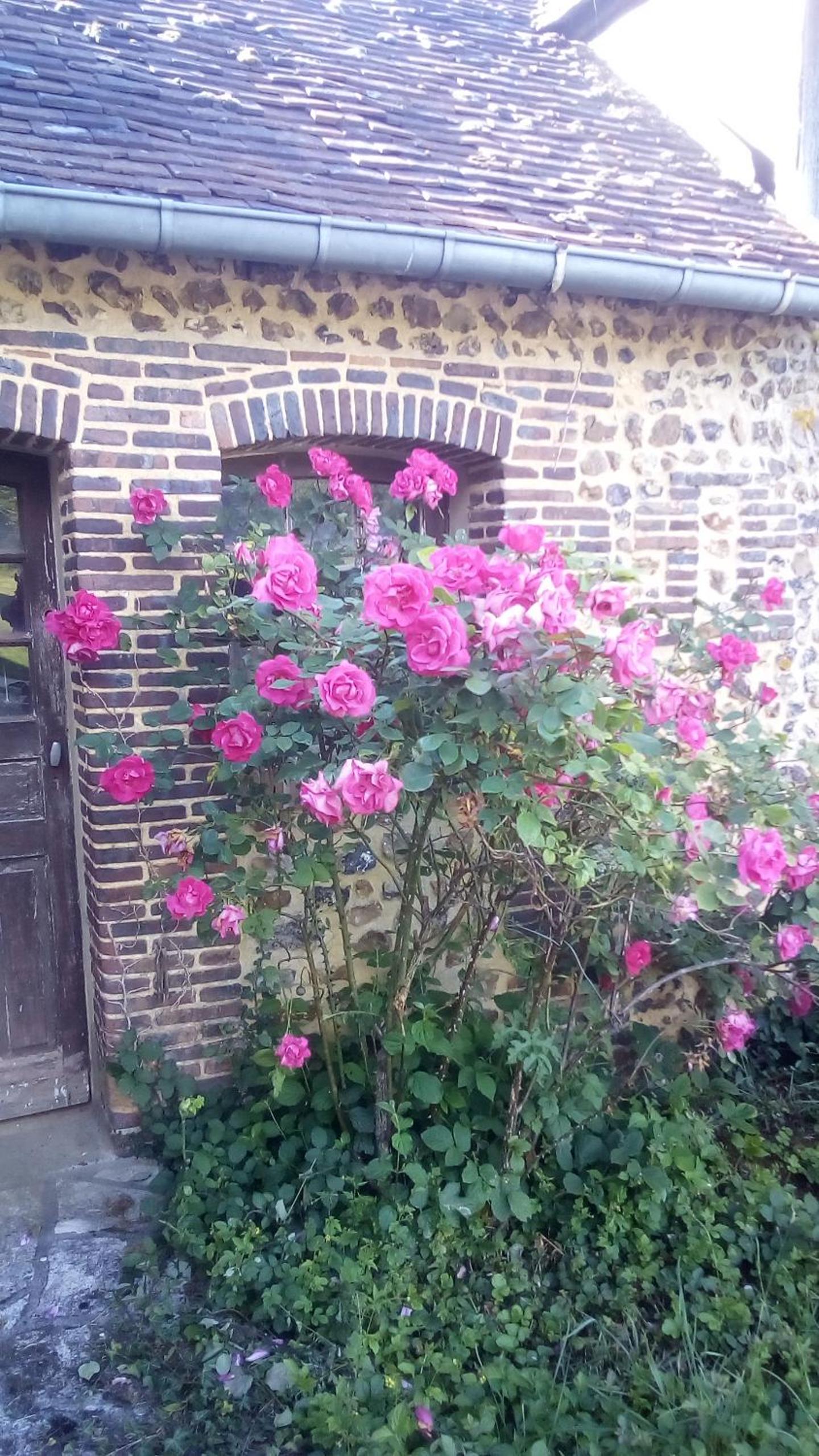 Domaine de Gentilly view 5