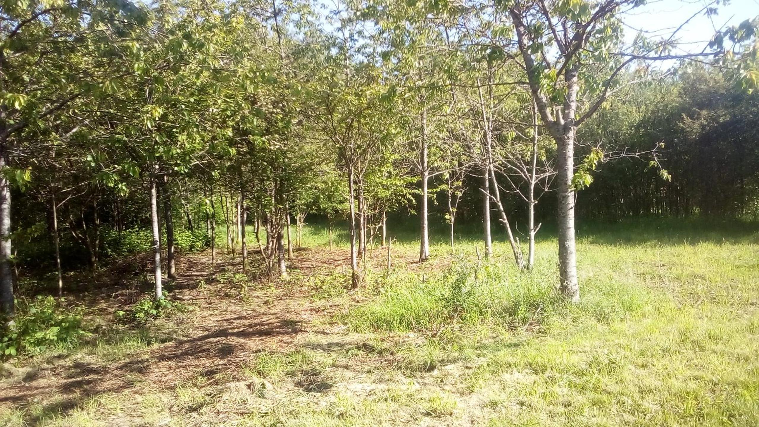 Photo 25