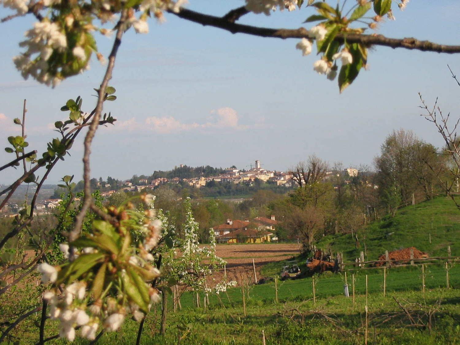 Agriturismo Casa Rossa Ai Colli