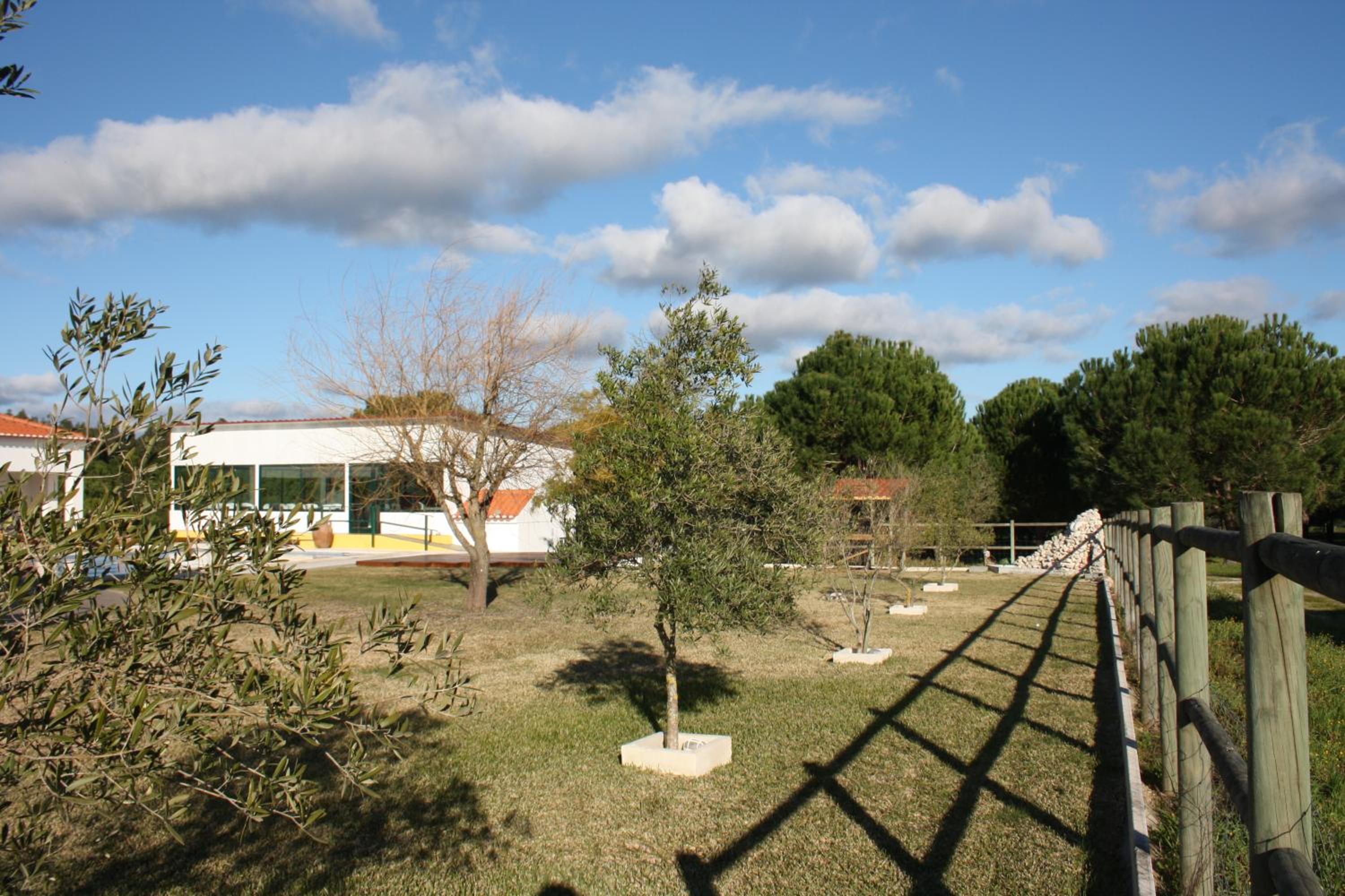 Monte Macário Alojamento Local view 4