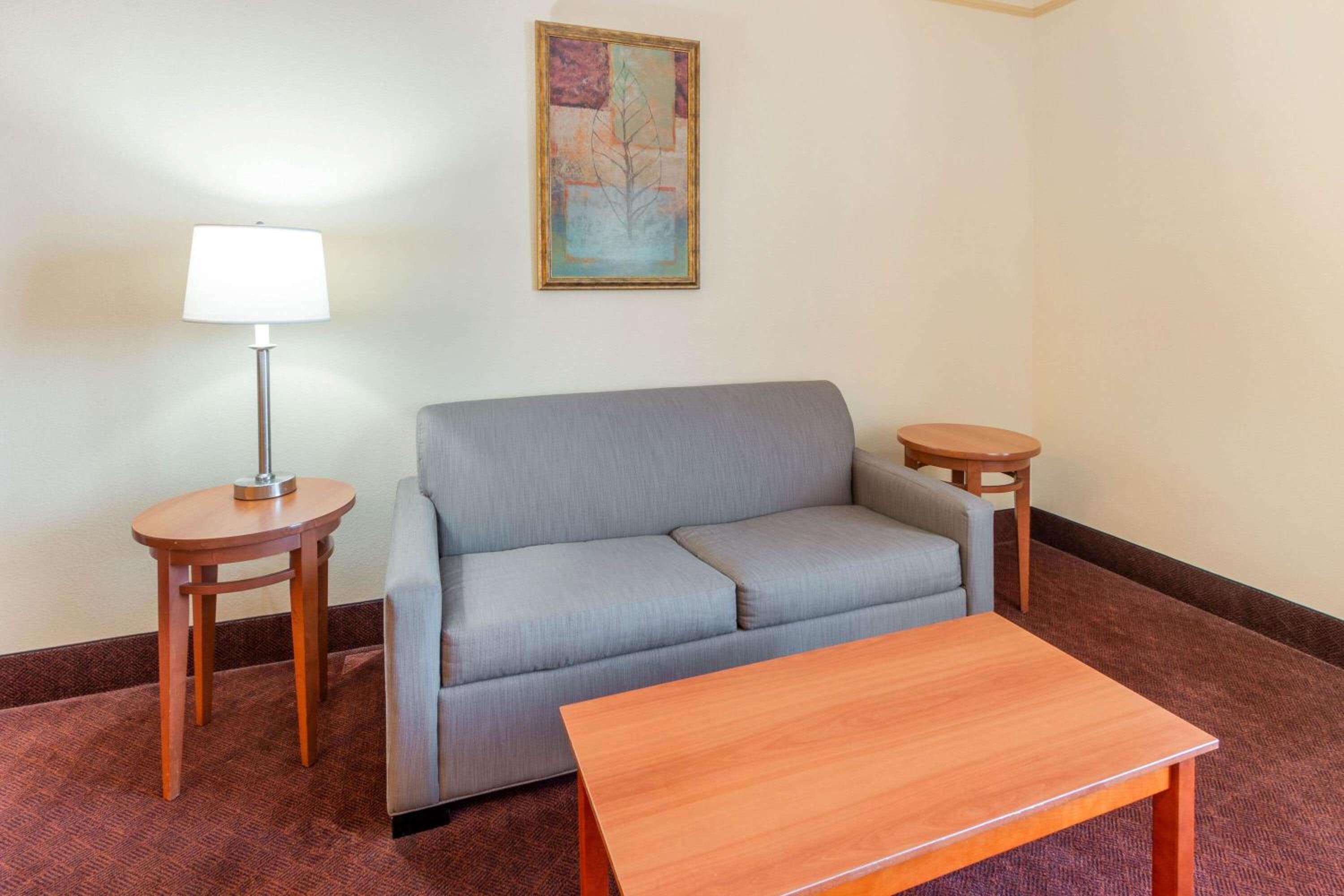 Hobbs Vacations - La Quinta by Wyndham Hobbs - Property Image 12