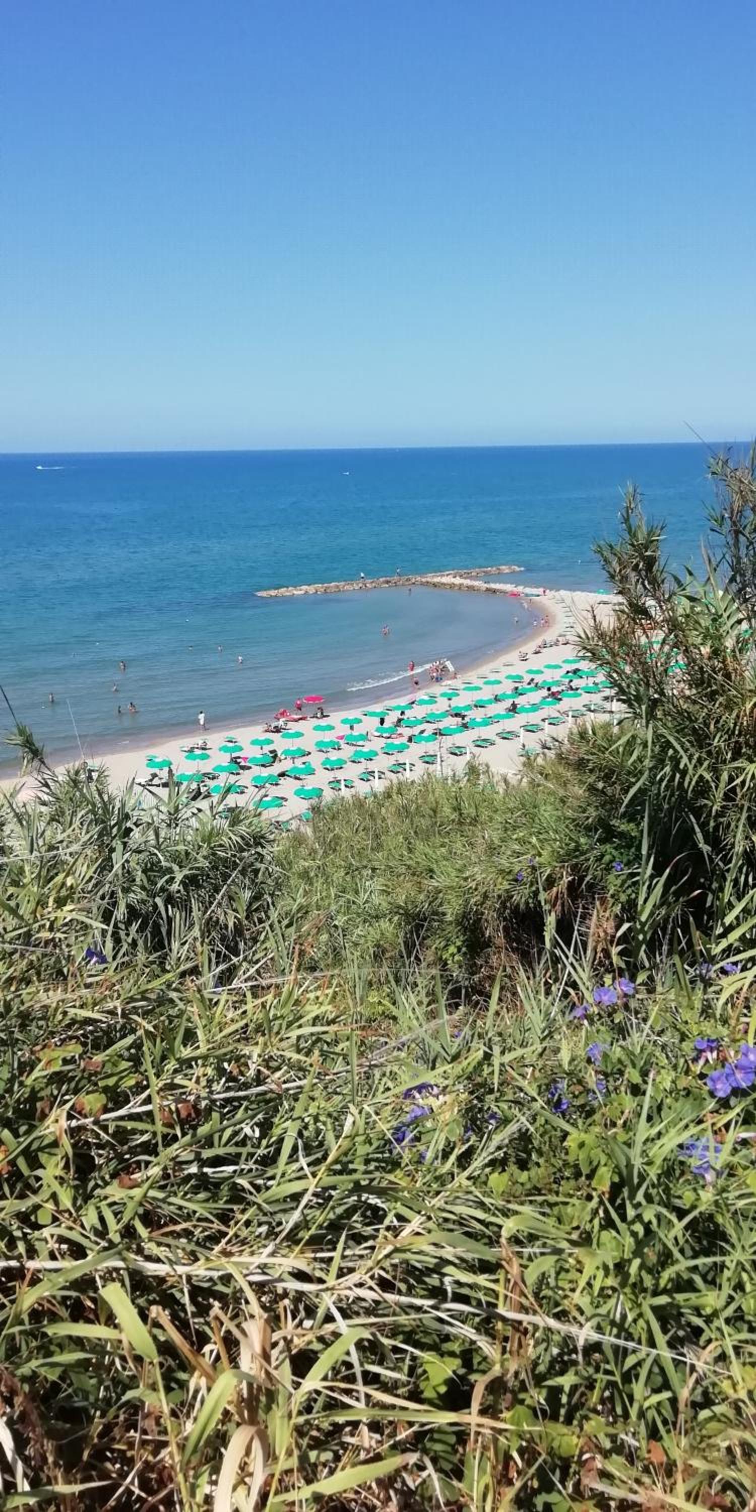 Photo 64
