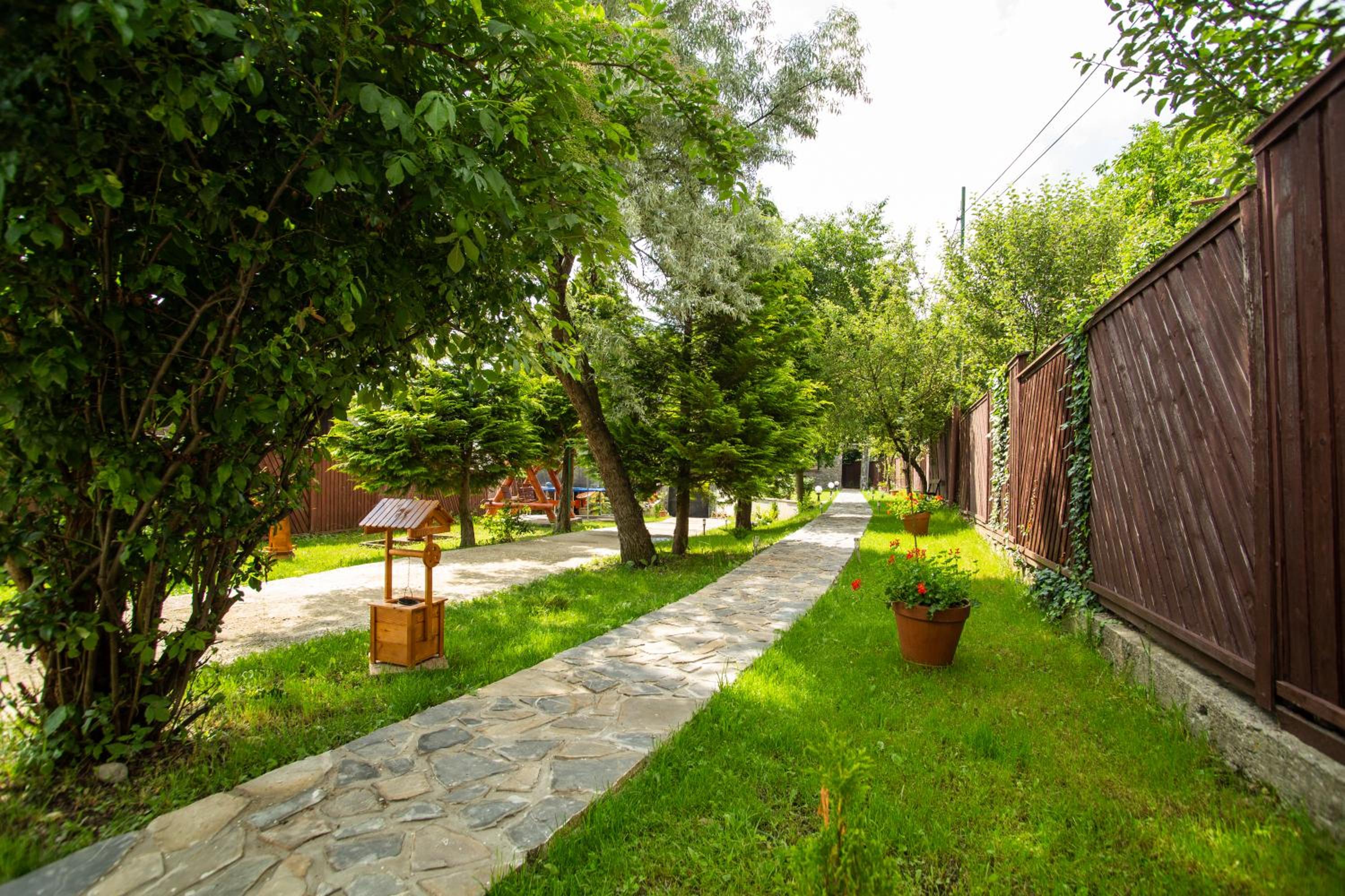 Photo 40