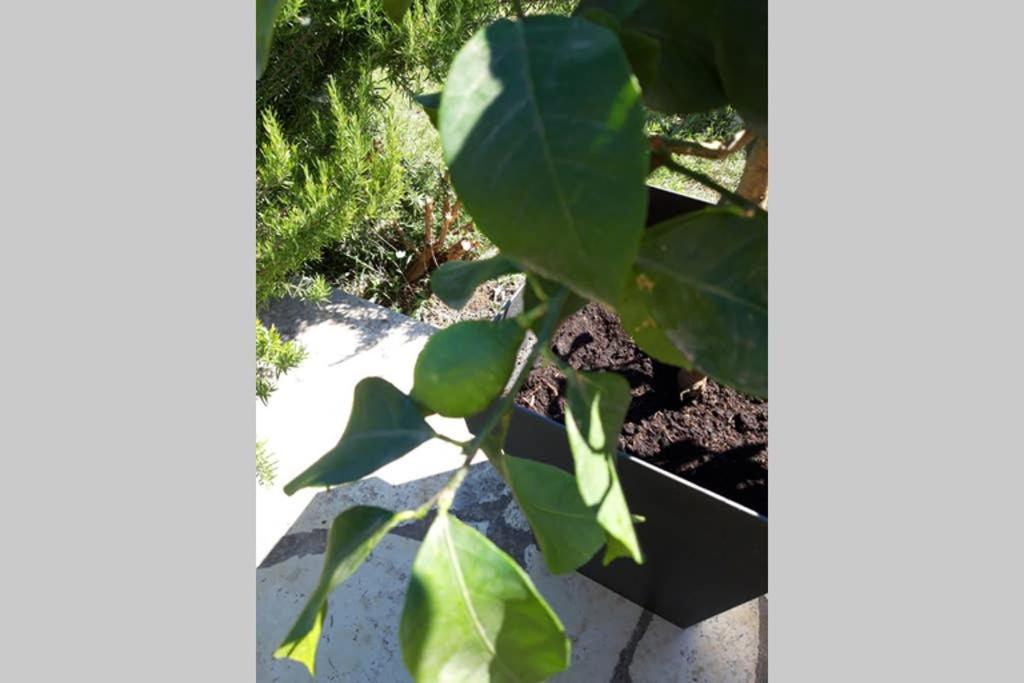 Photo 22
