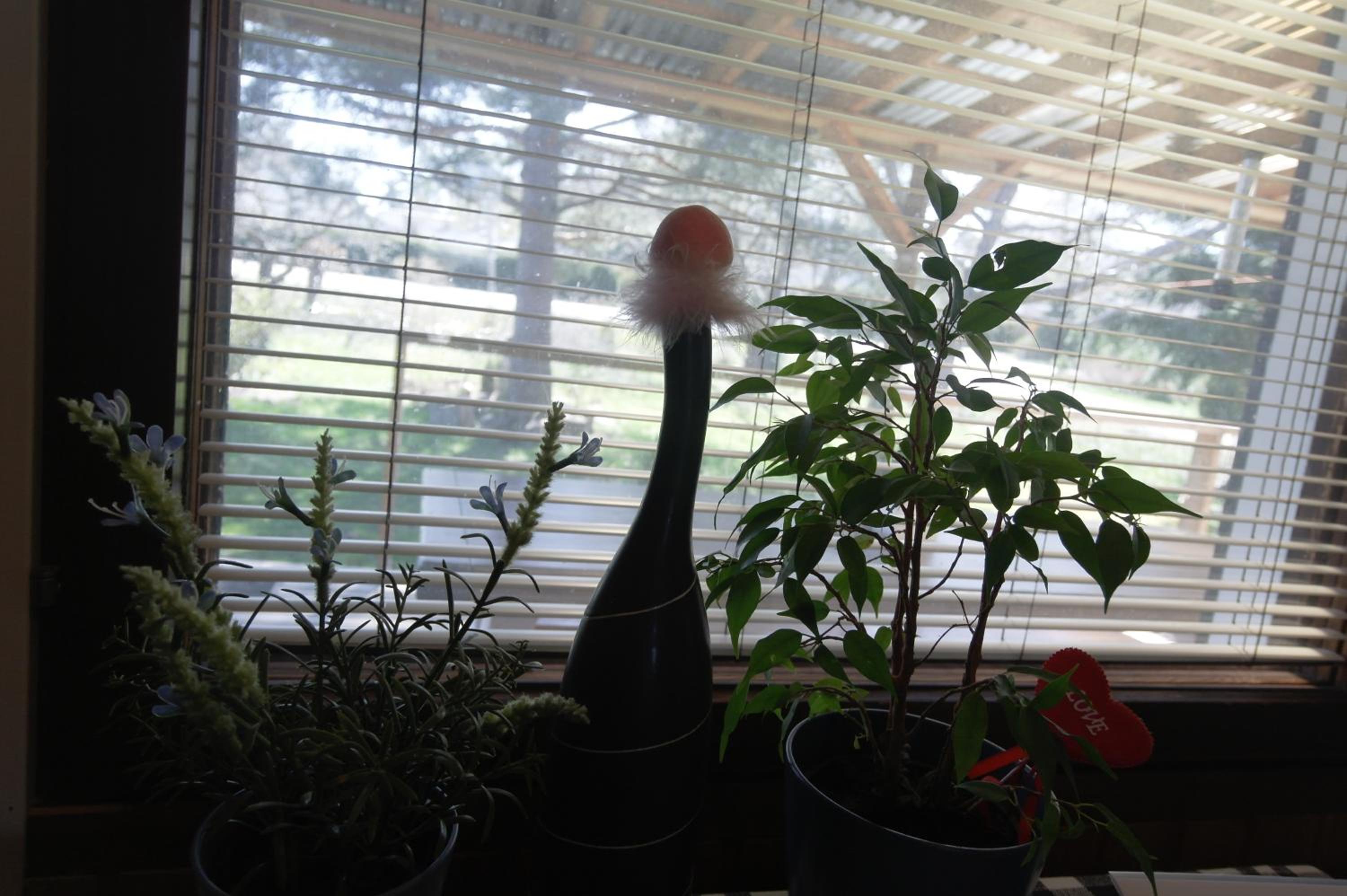 Photo 31