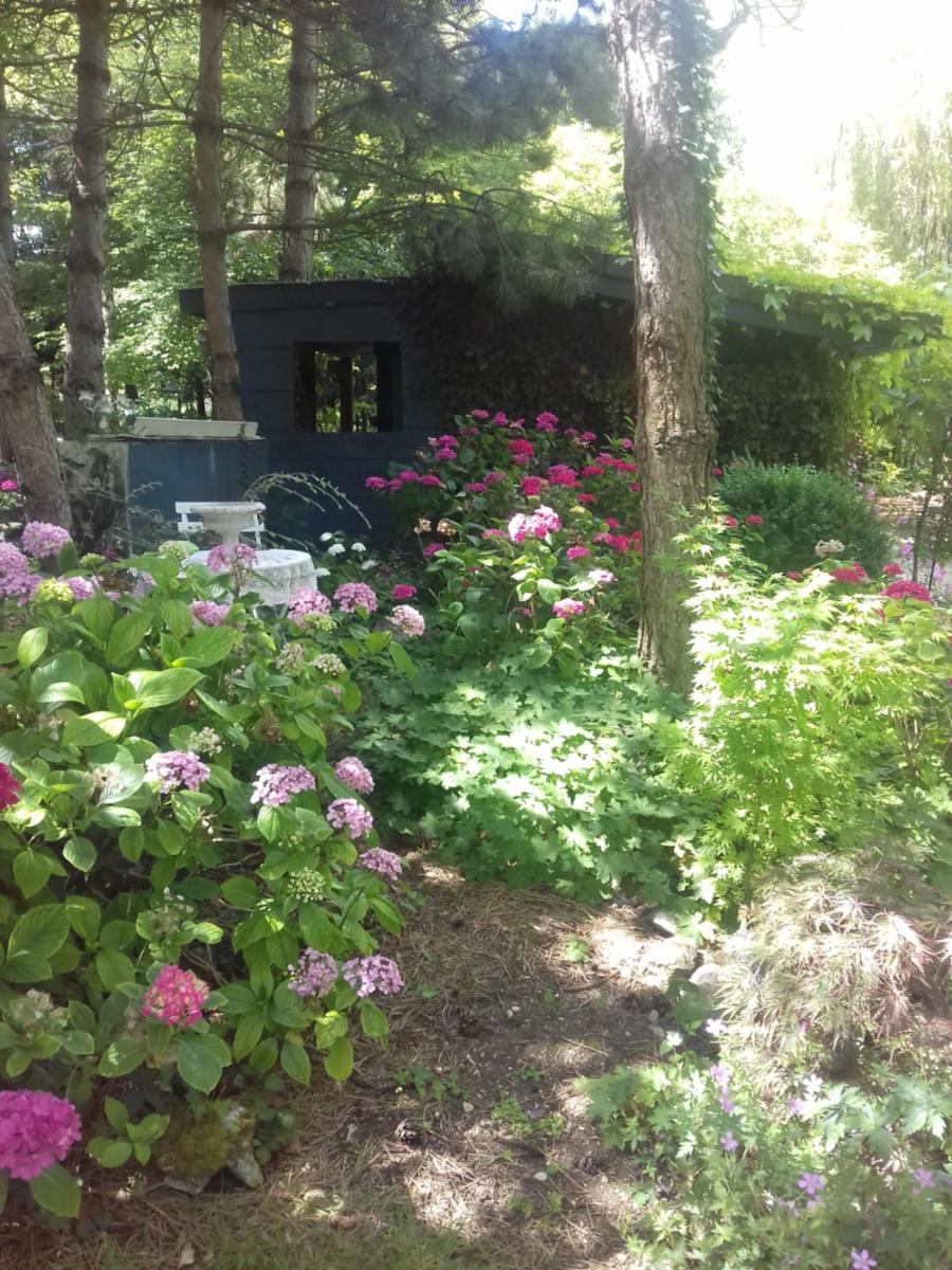 Photo 16