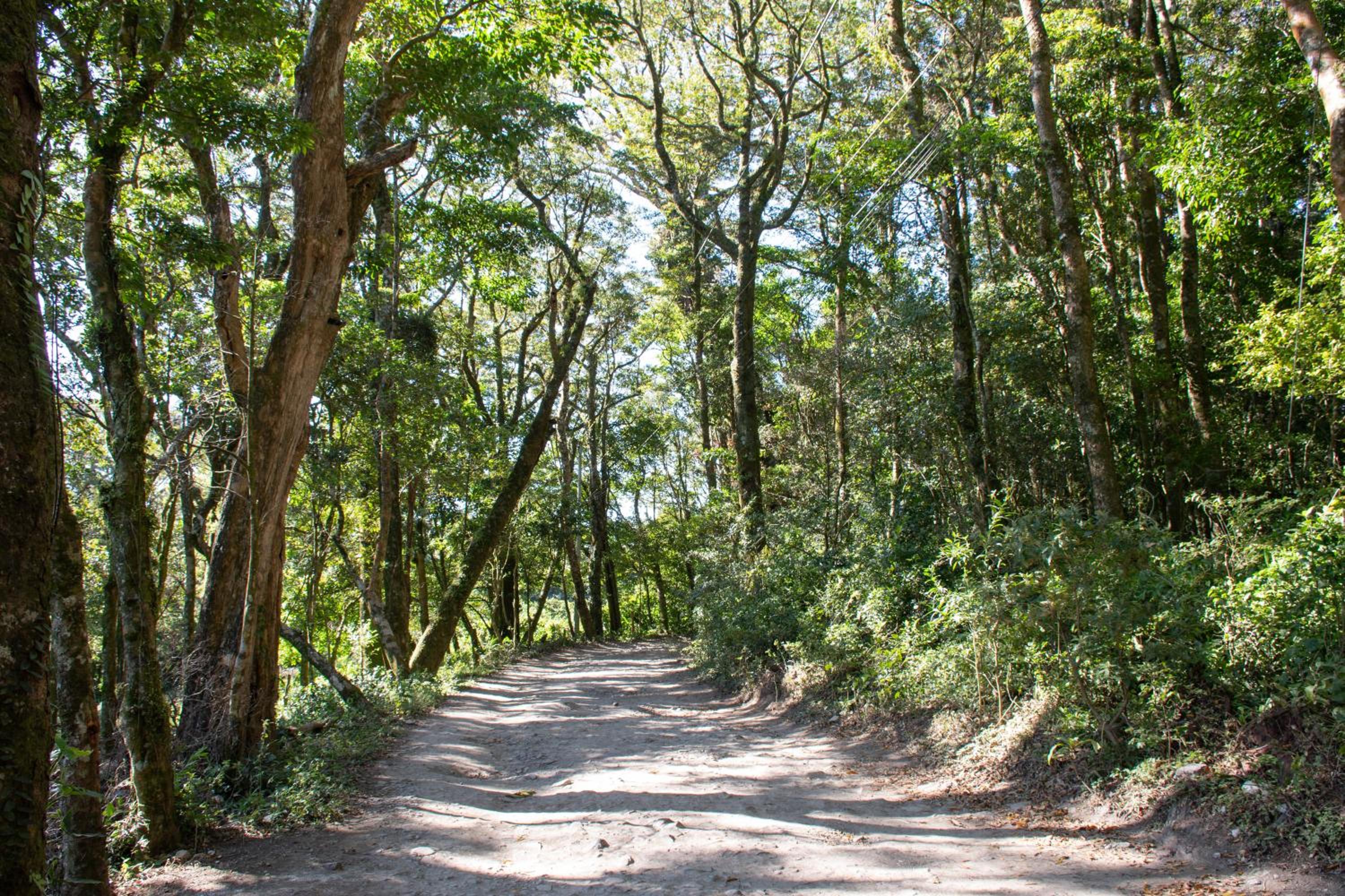 Green Habitat