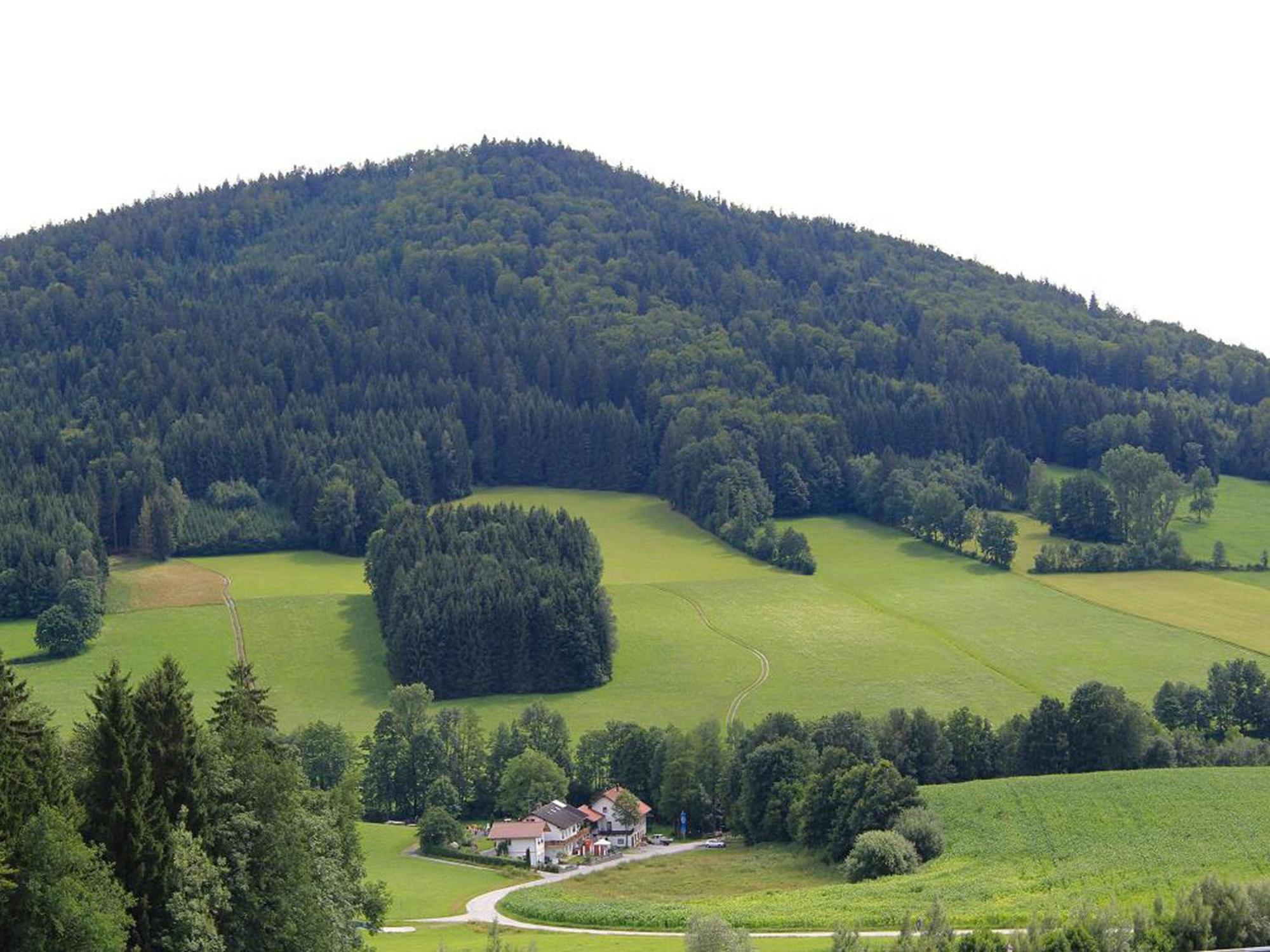 Pension Maria