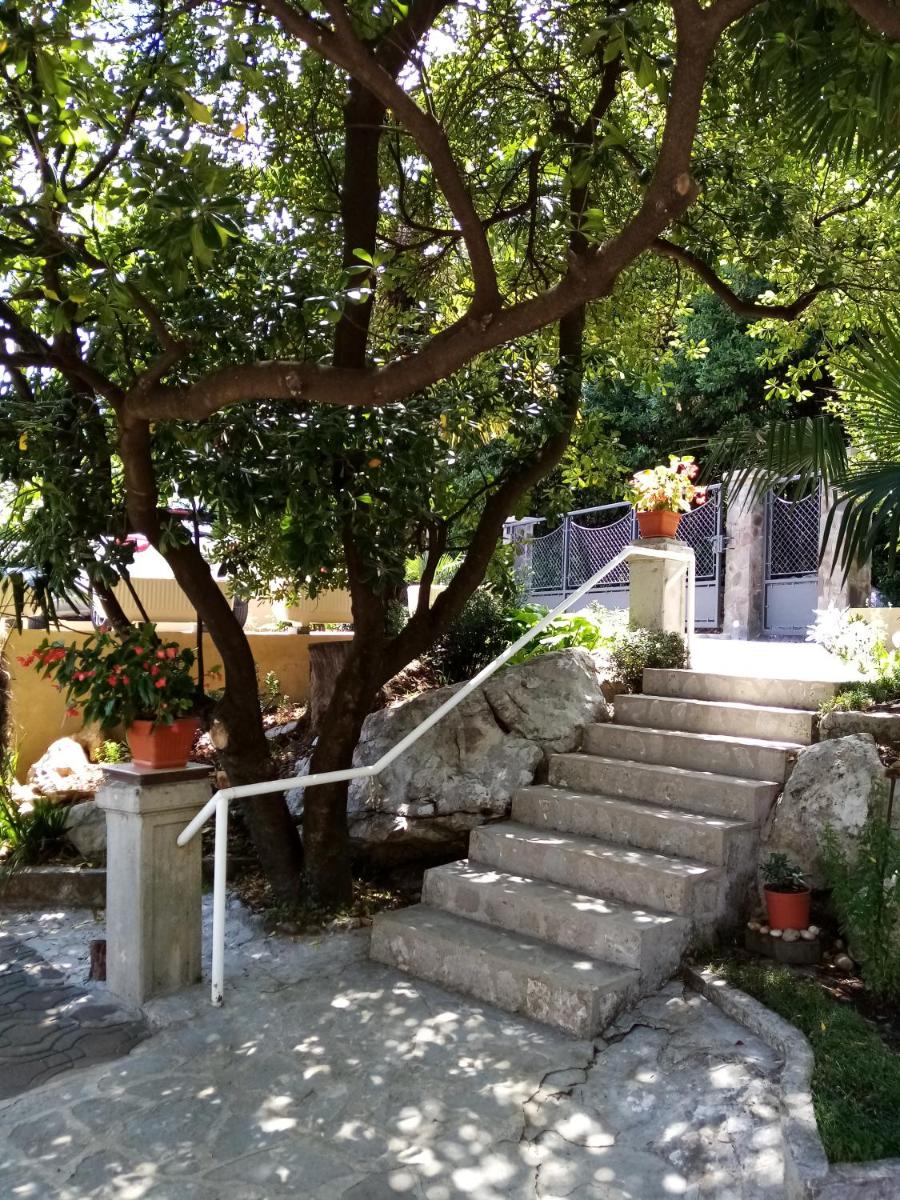 Apartman Lori view 5