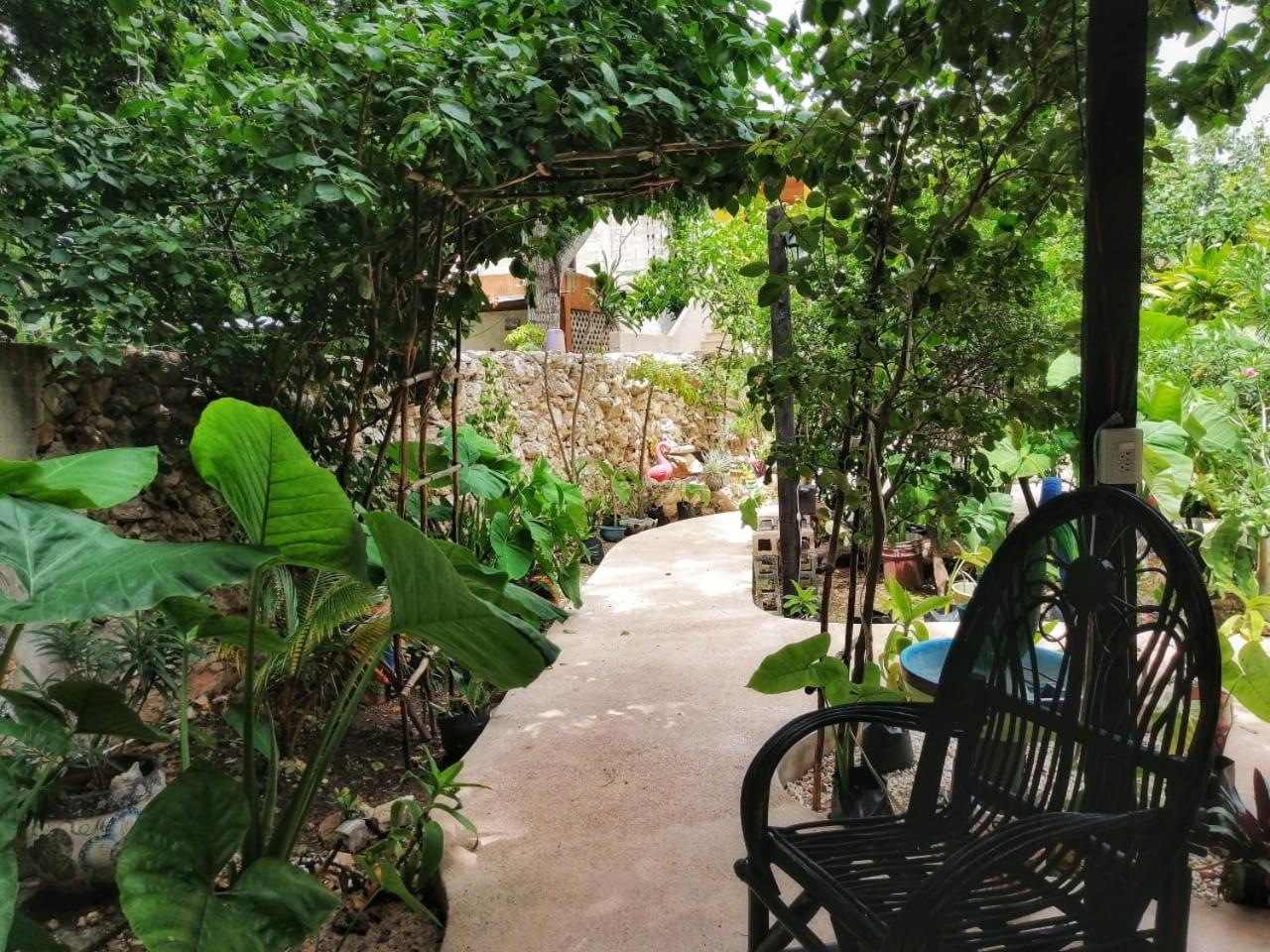 Photo 14