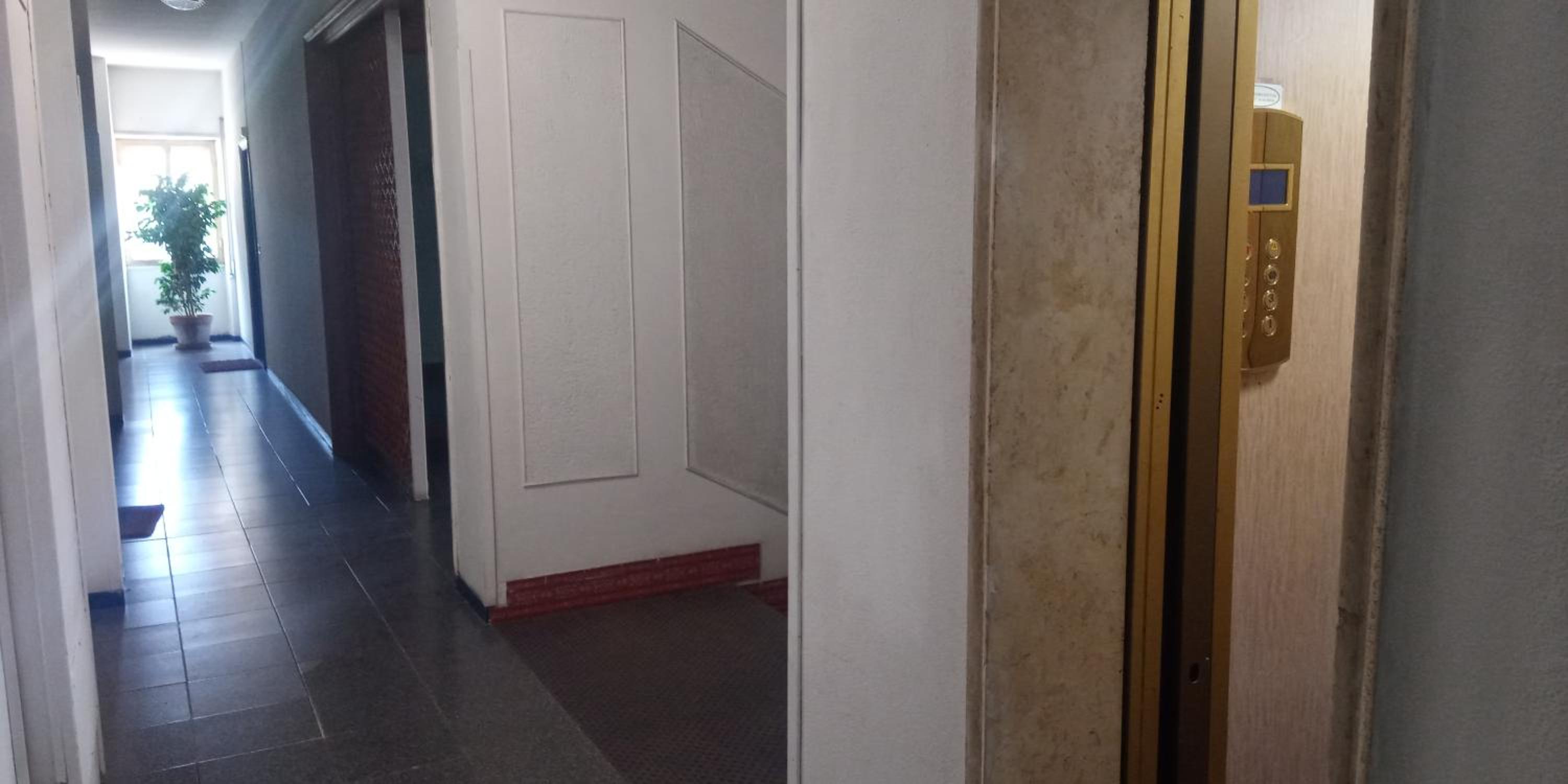 Aurelia Begonia Apartment - family & business