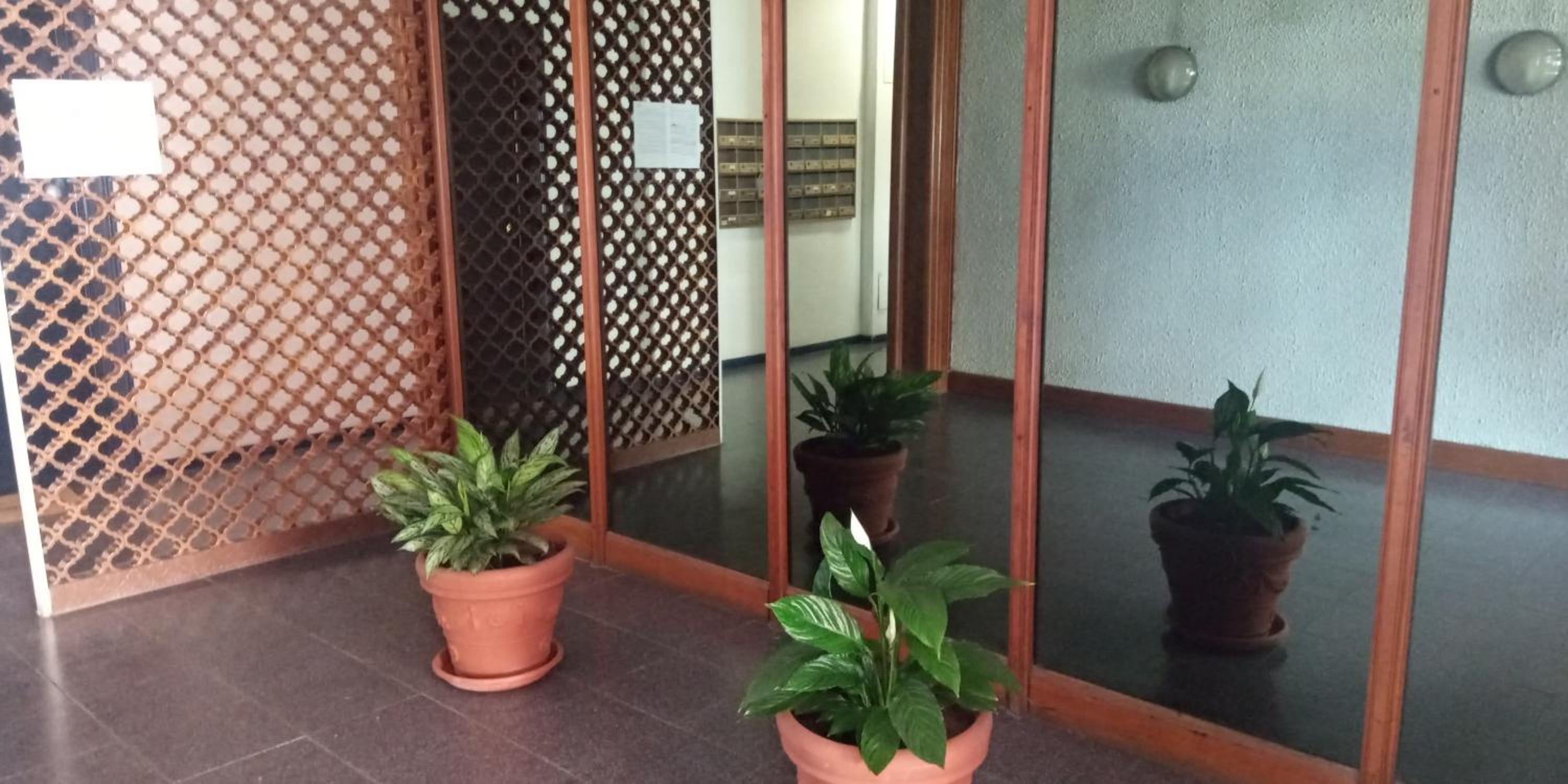 Aurelia Begonia Apartment - family & business