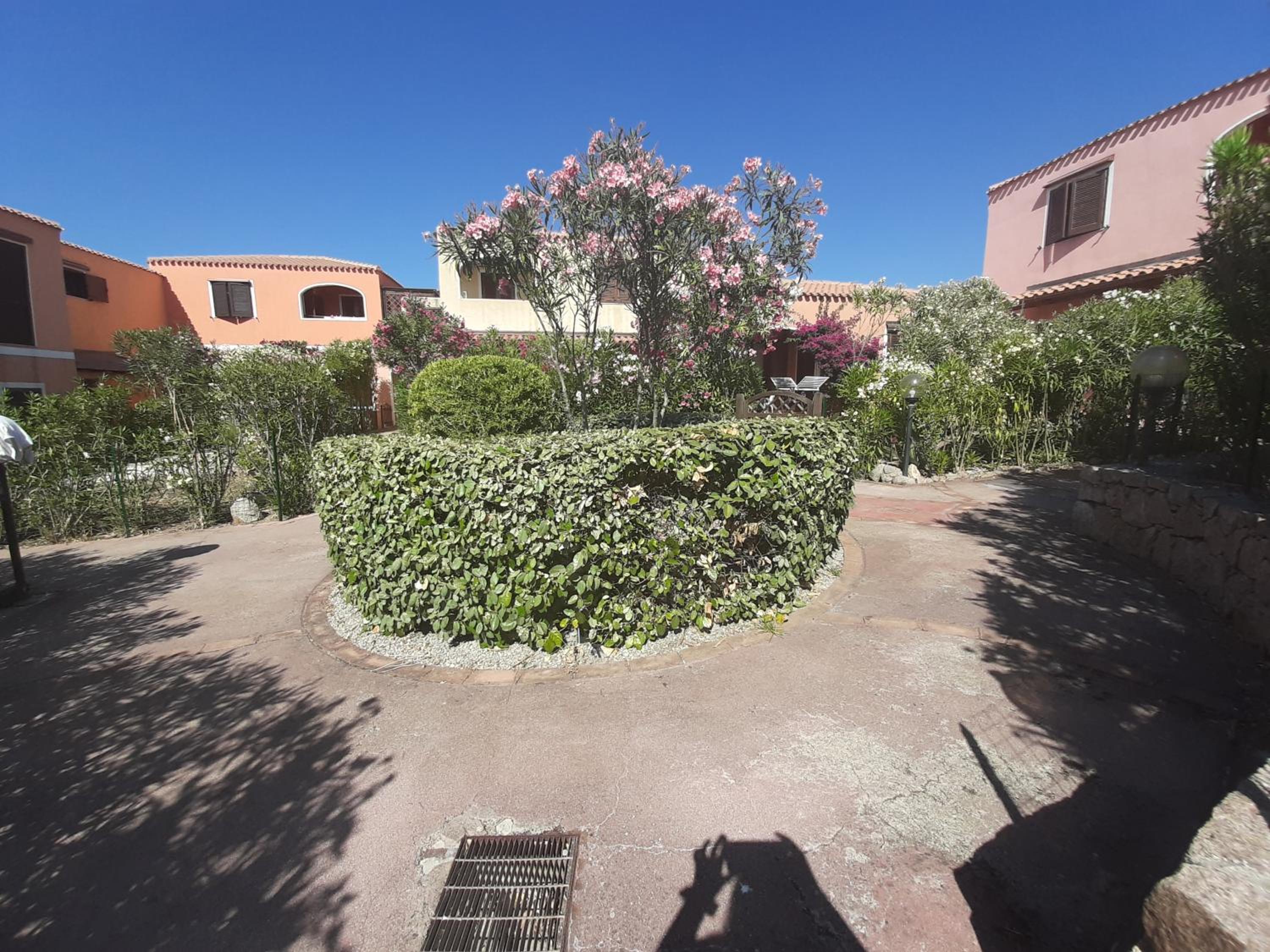 Photo 26