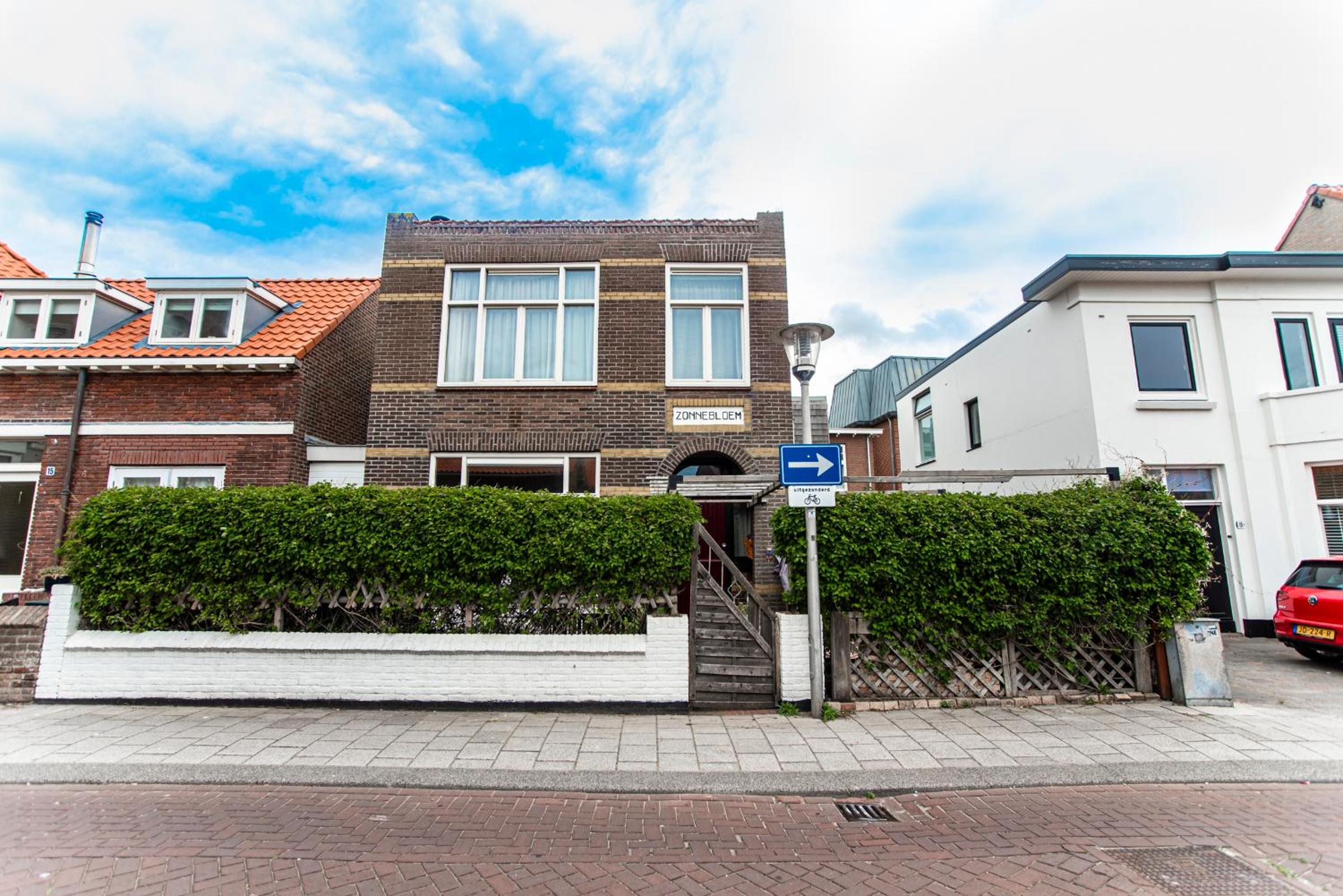 Zonnebloem