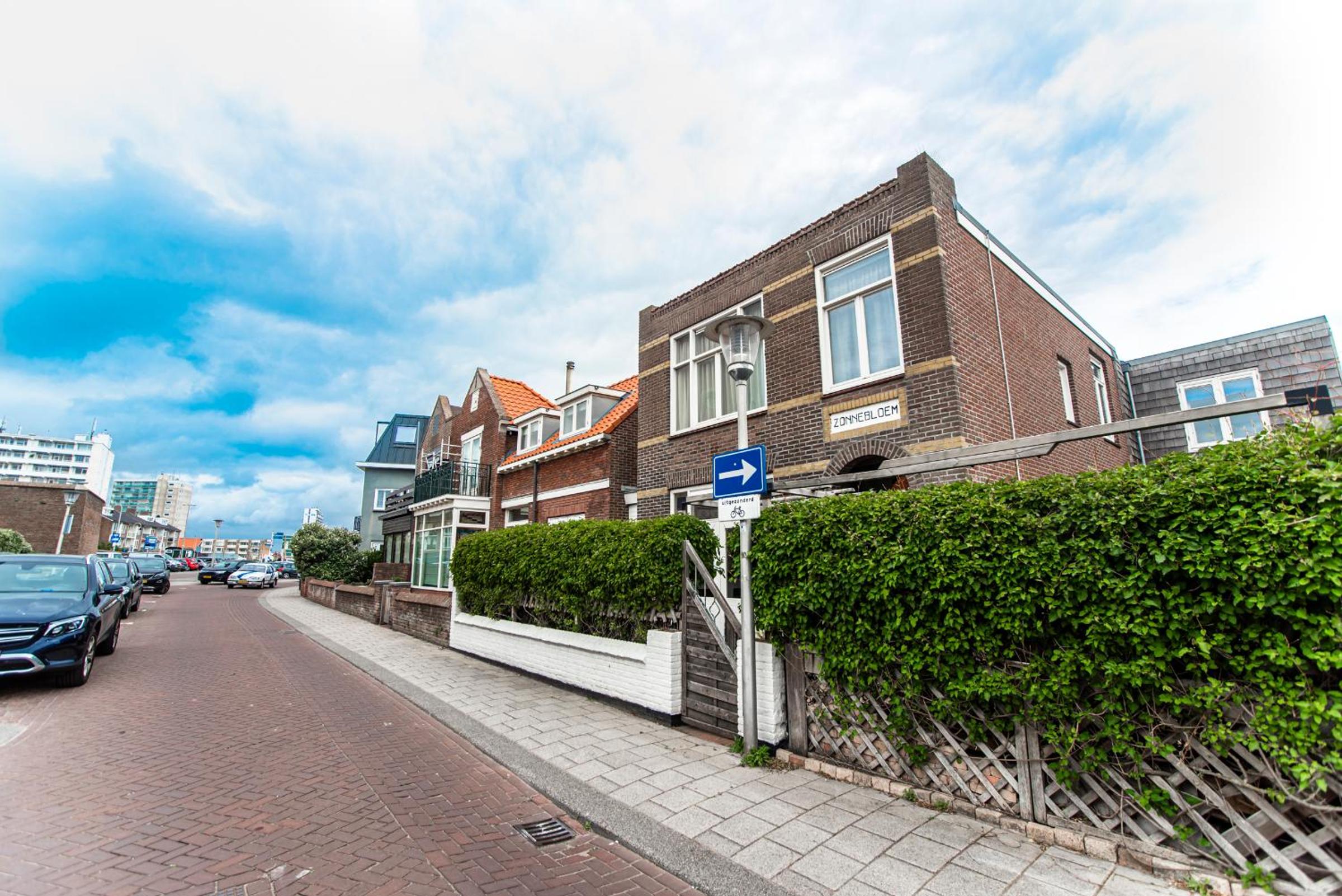 Zonnebloem