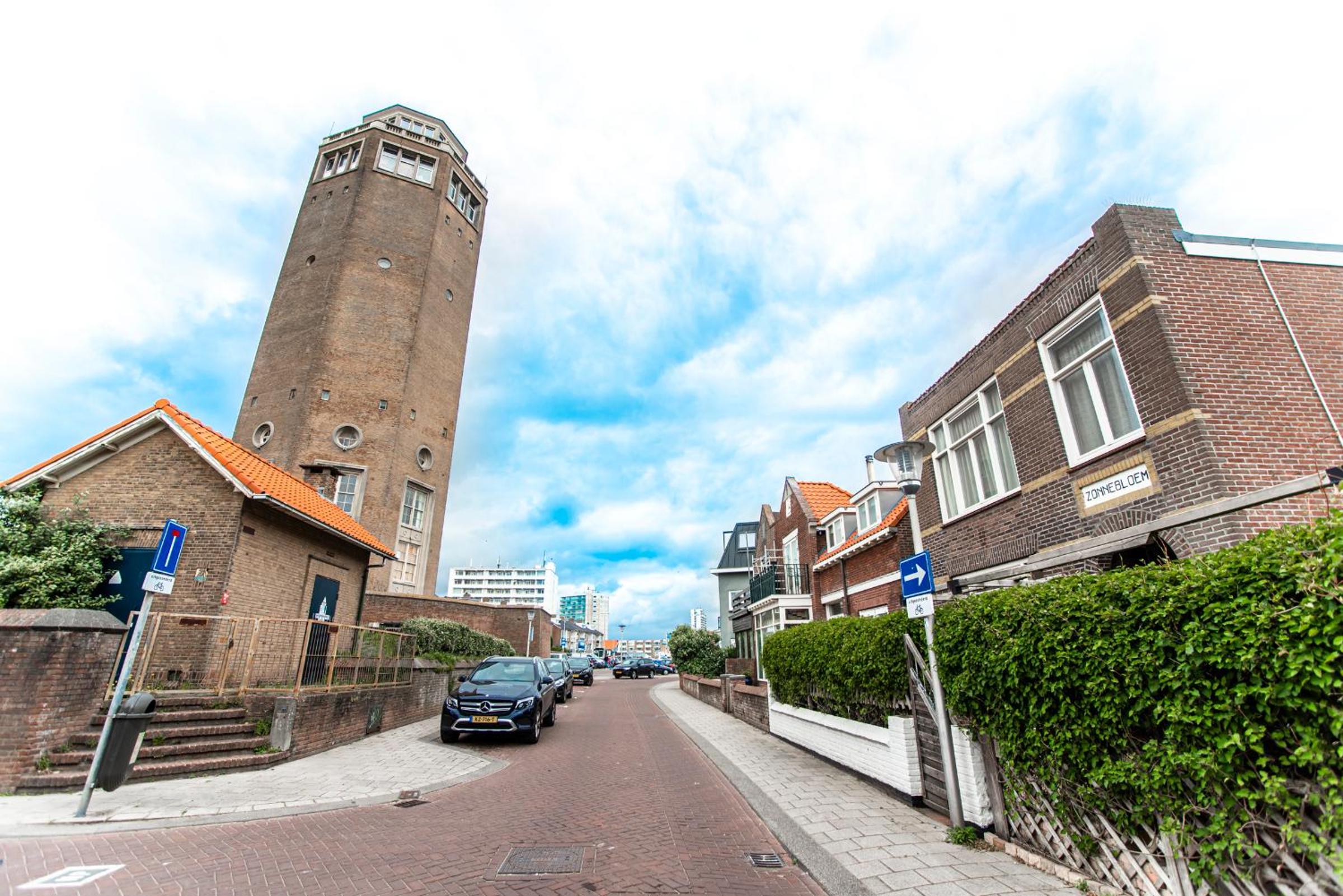 Zonnebloem