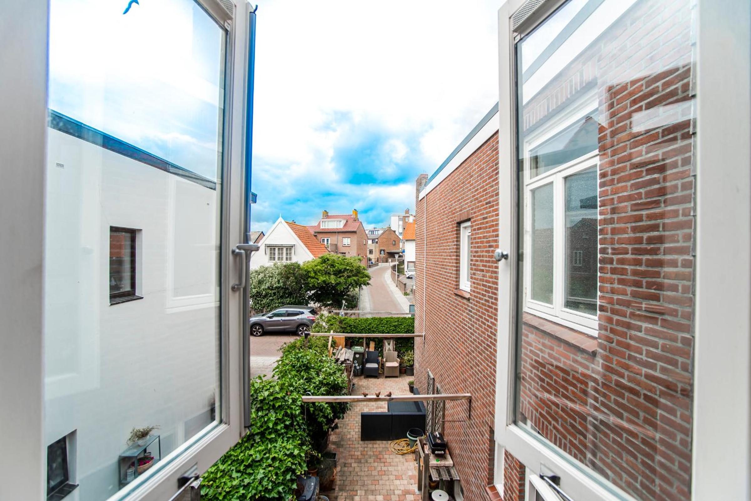 Zonnebloem