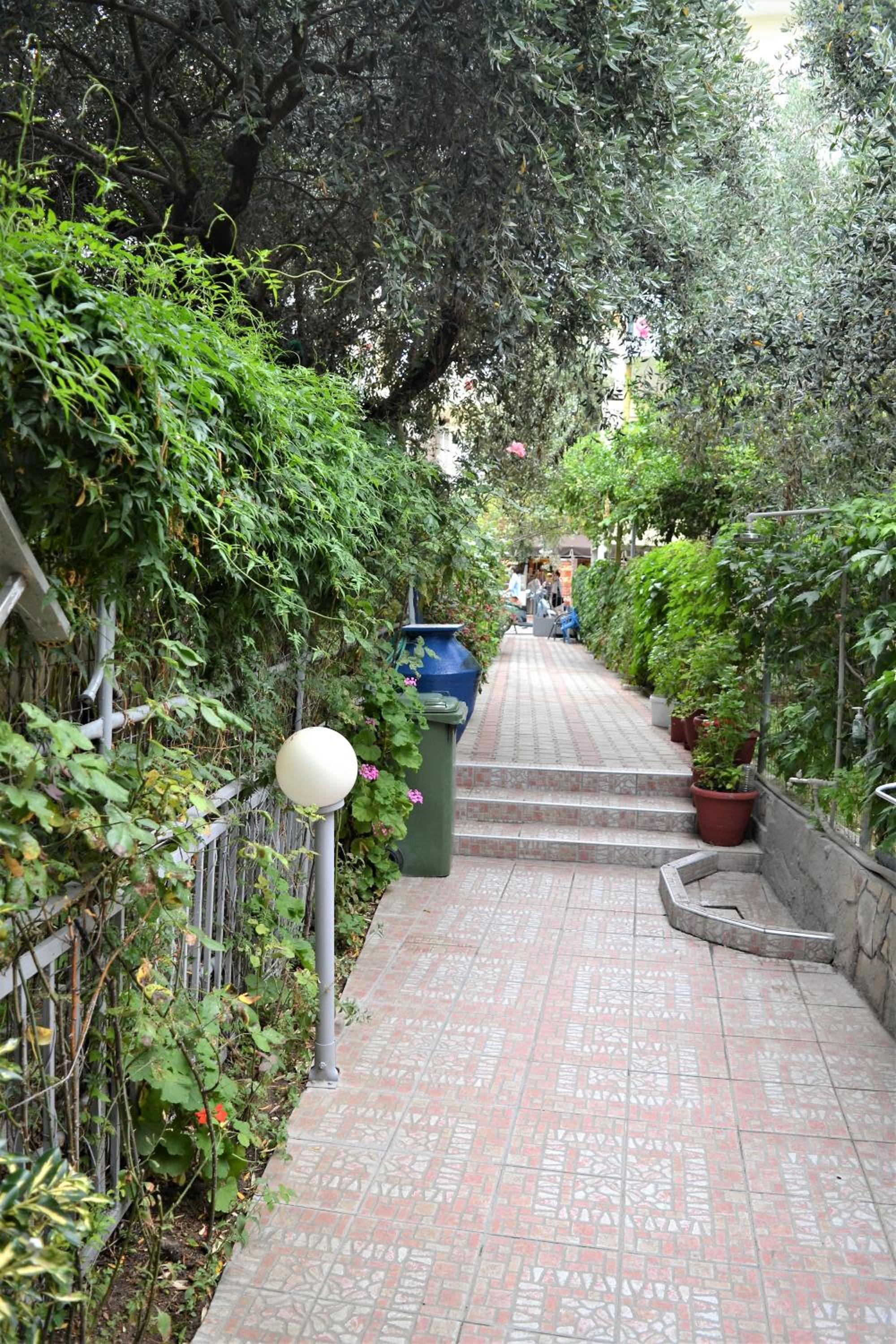 Photo 27