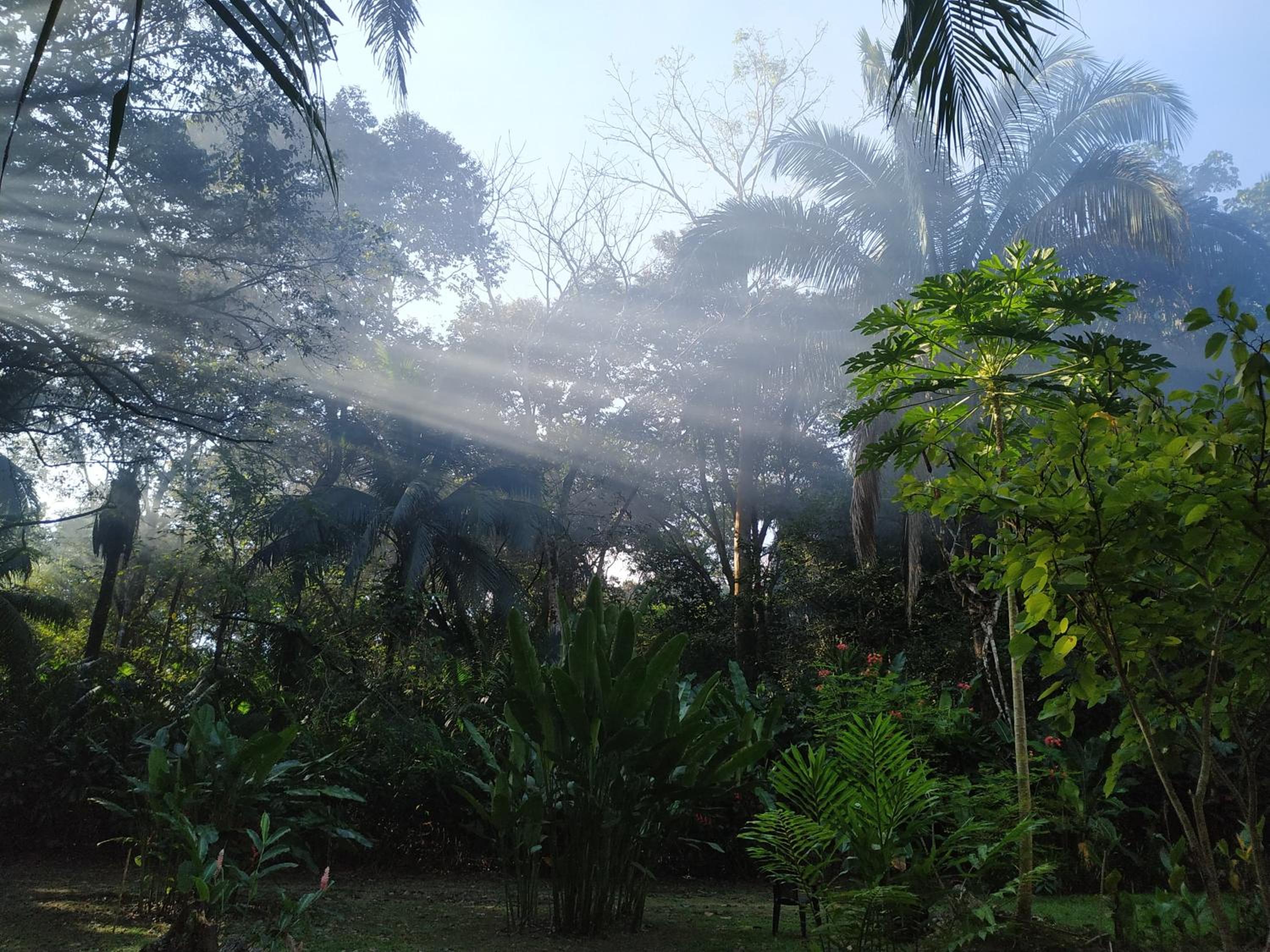 Four Monkeys Eco Lodge Jungle & Beach - The House