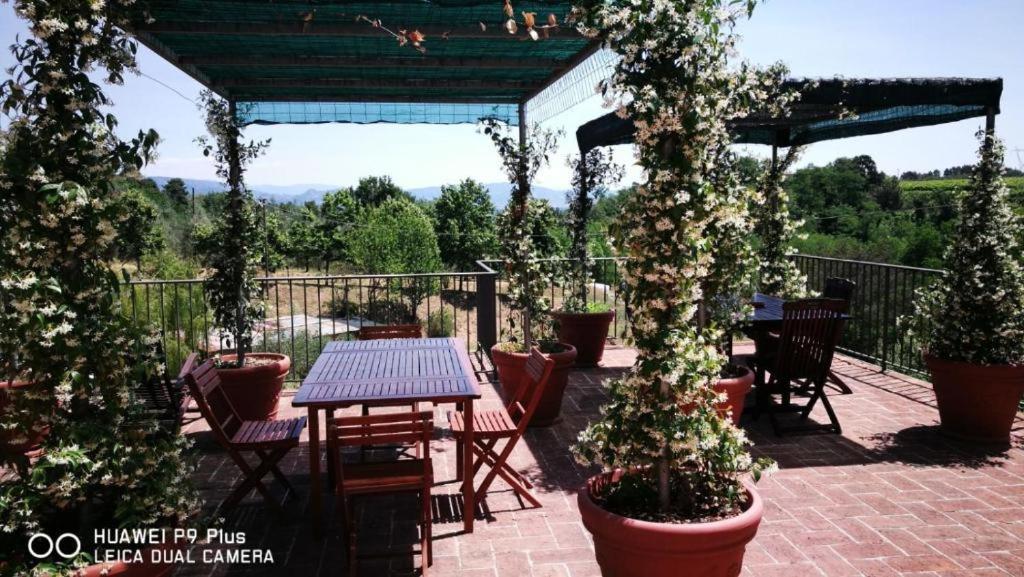 Tenuta degli Obizzi