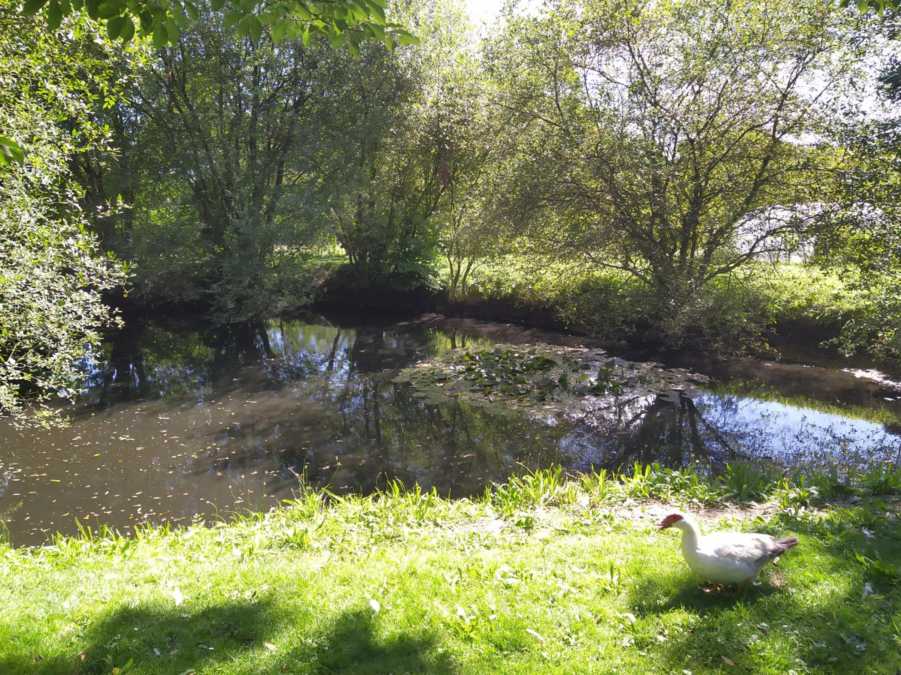Photo 23