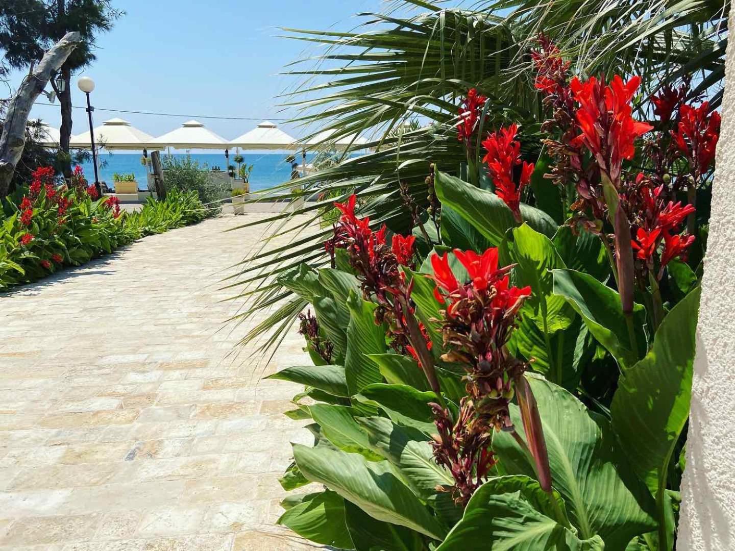Apartments Kuce Lekovica Beach & snack bar- Bistro