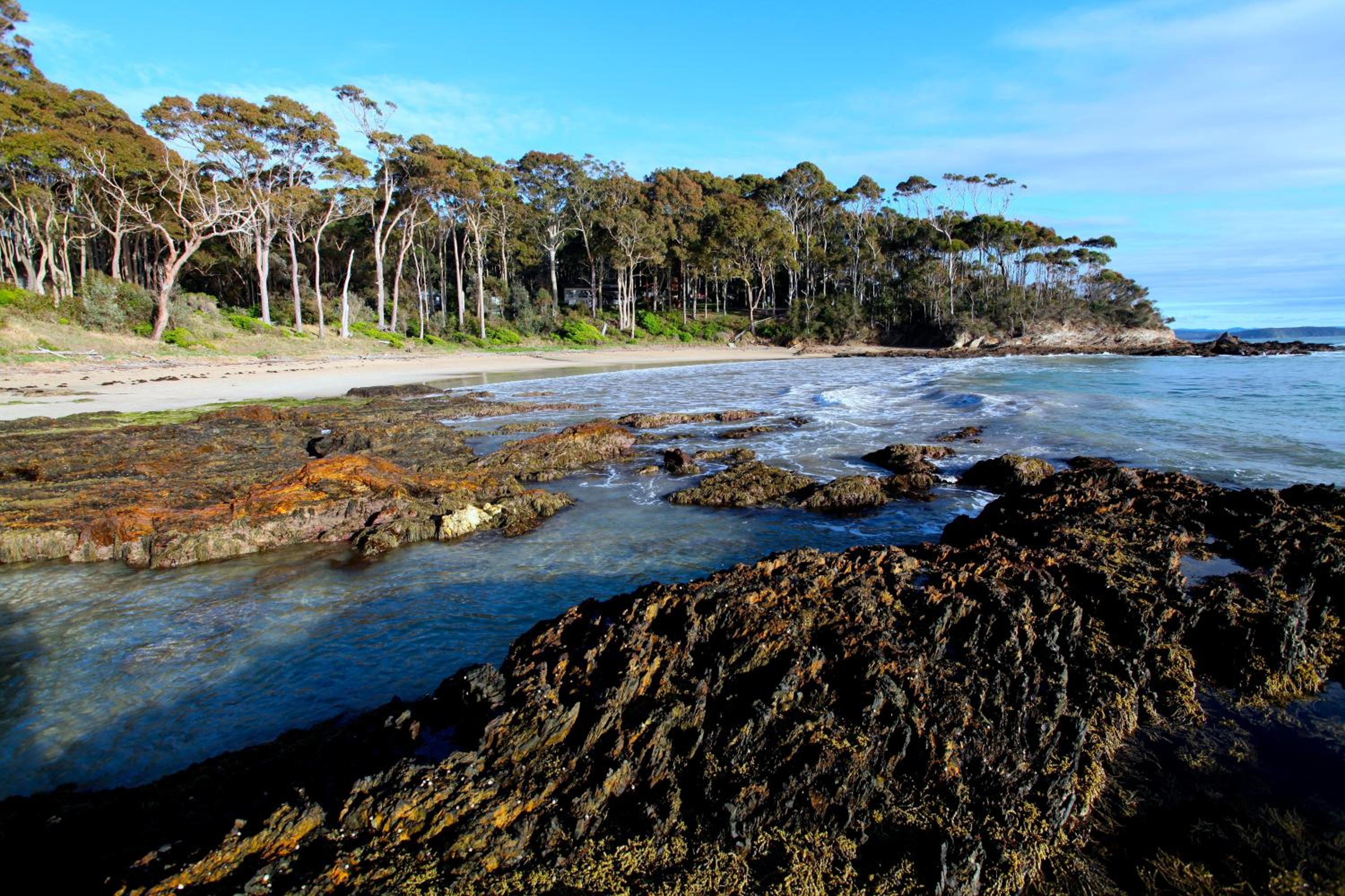 Beachgum