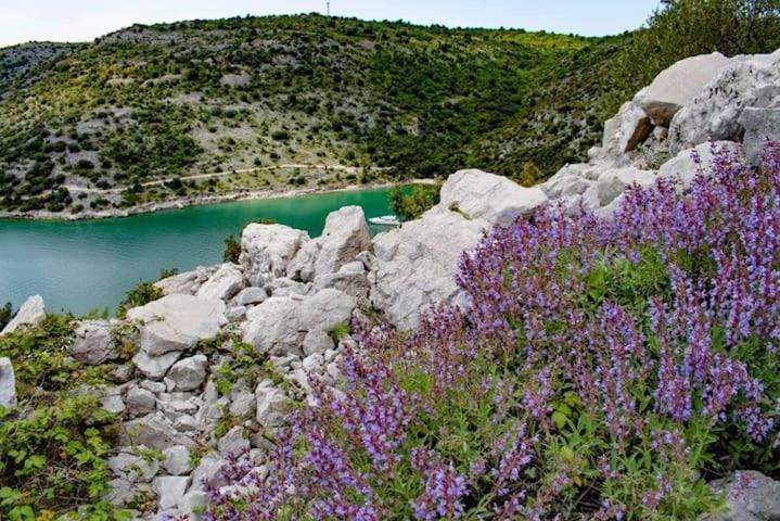 Вилла Сан-Аморе с бесконечным бассейном — photo 4