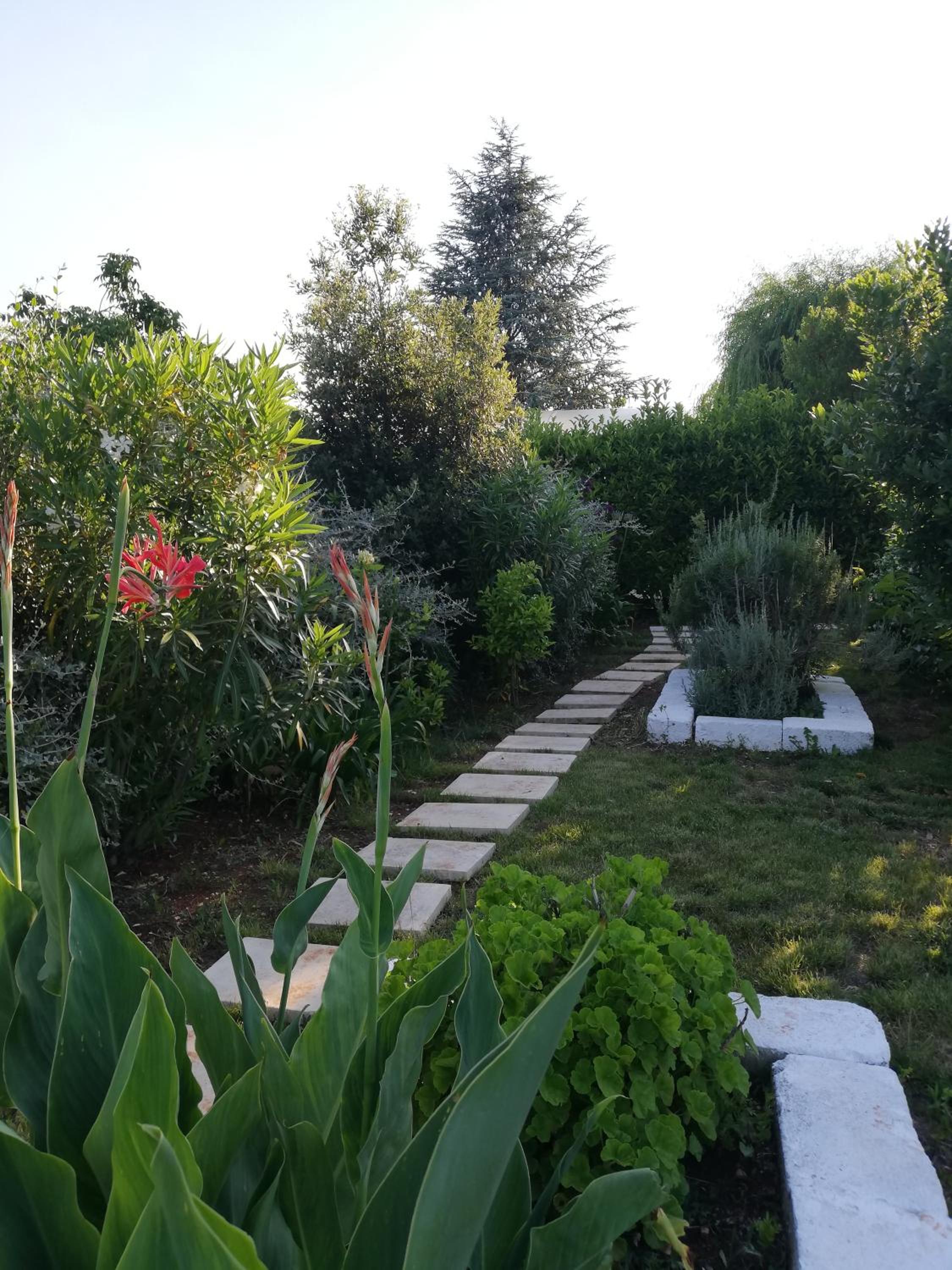 Photo 20