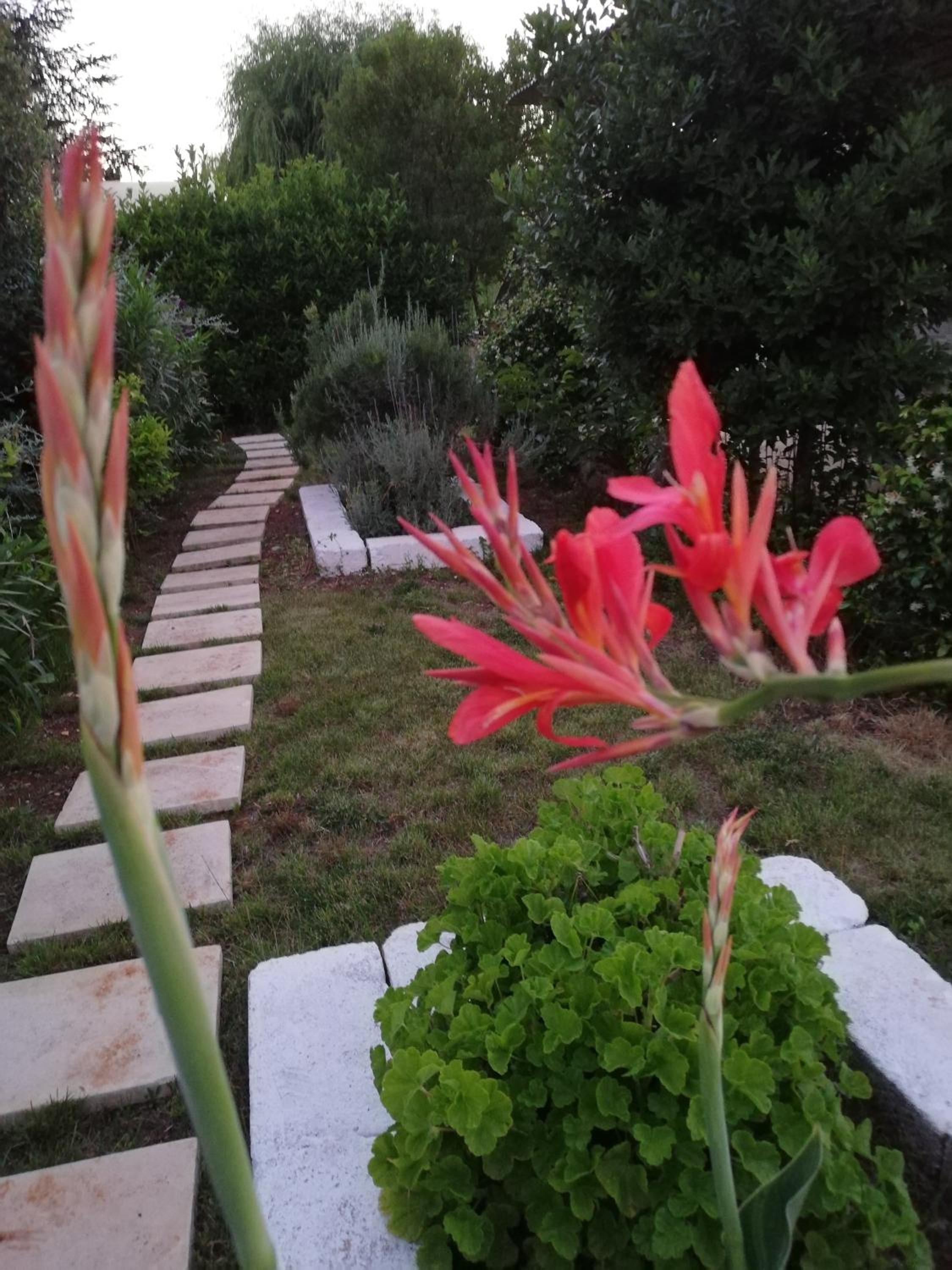 Photo 21