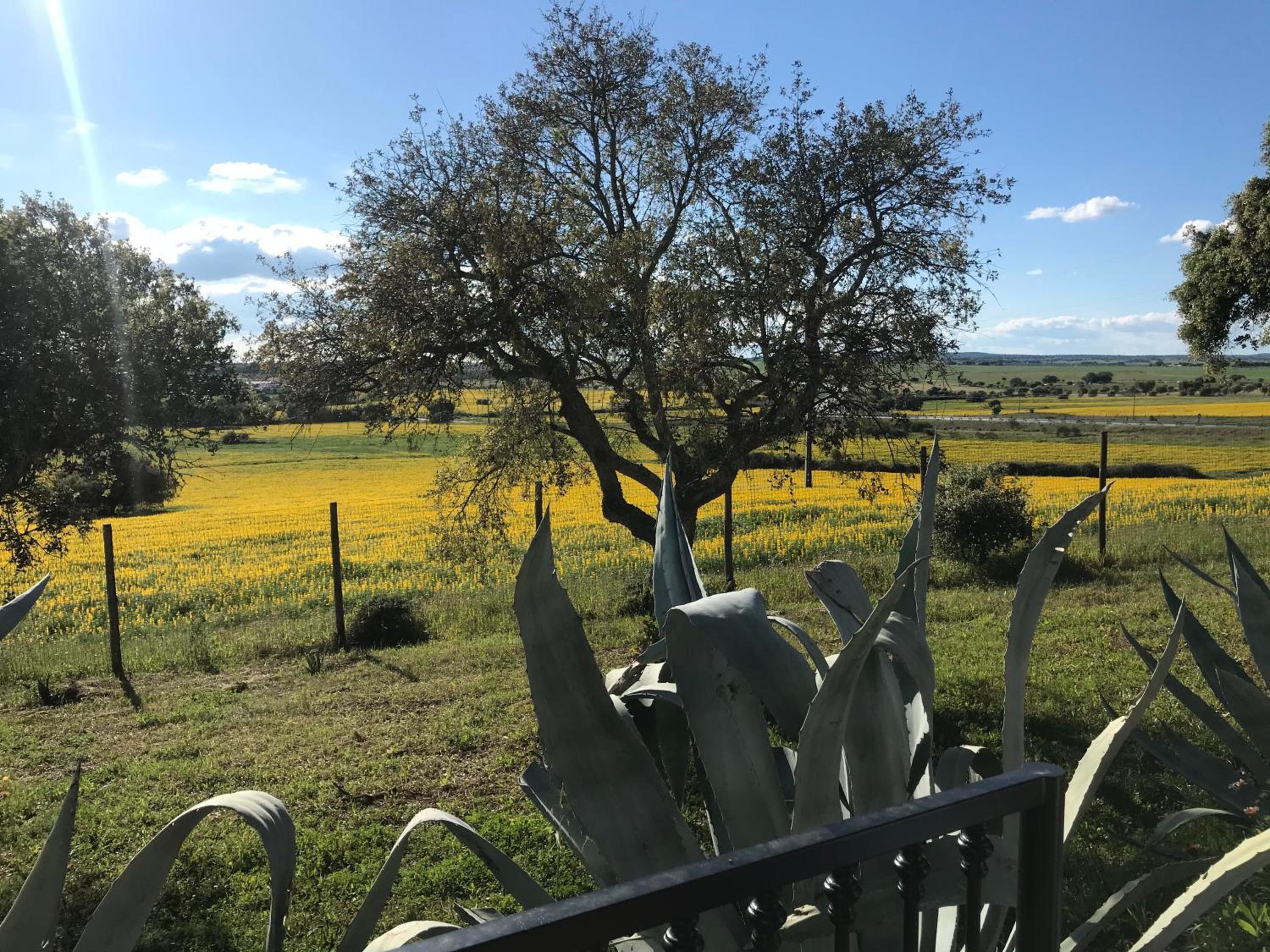 Photo 41