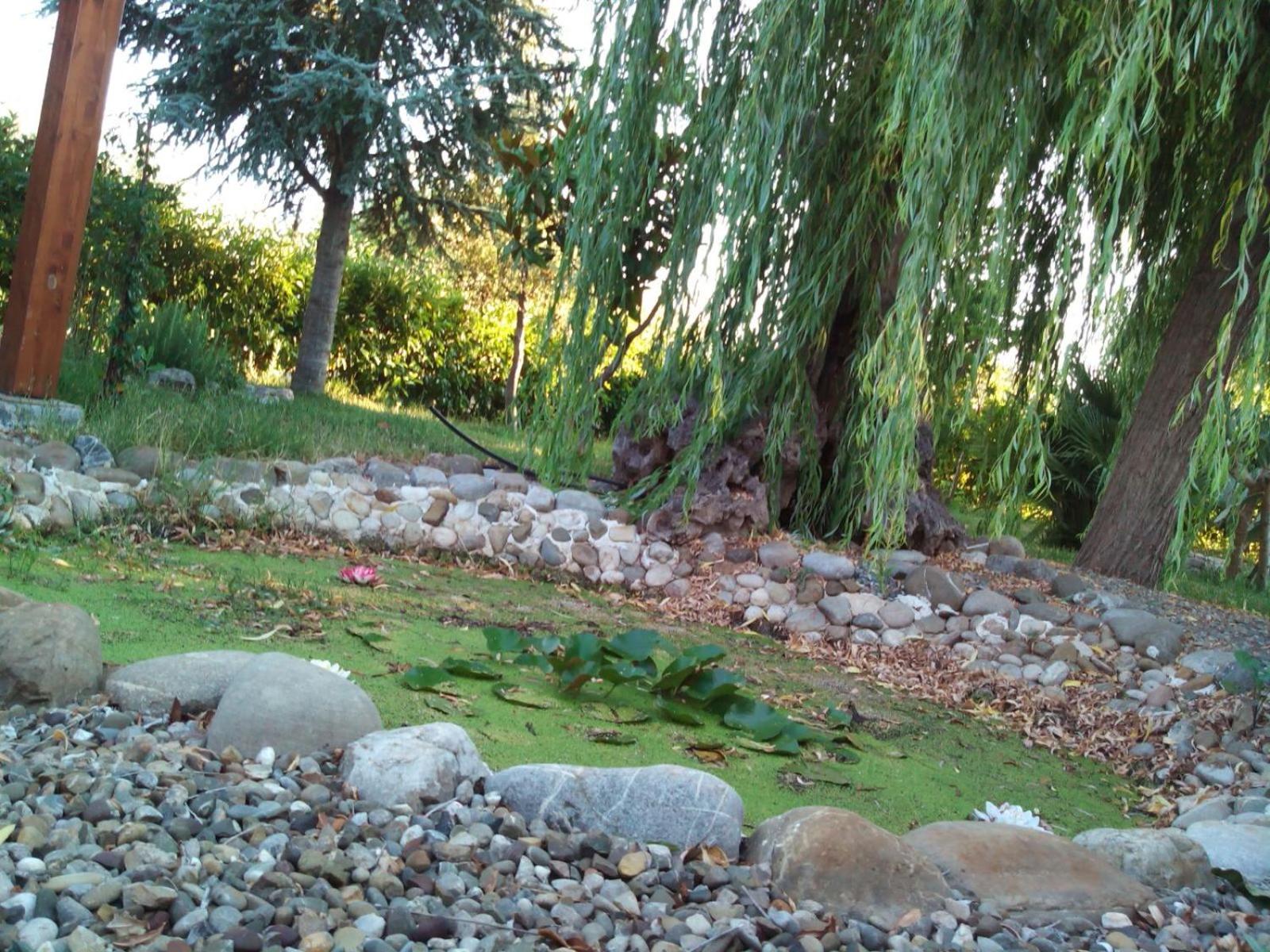 Photo 29