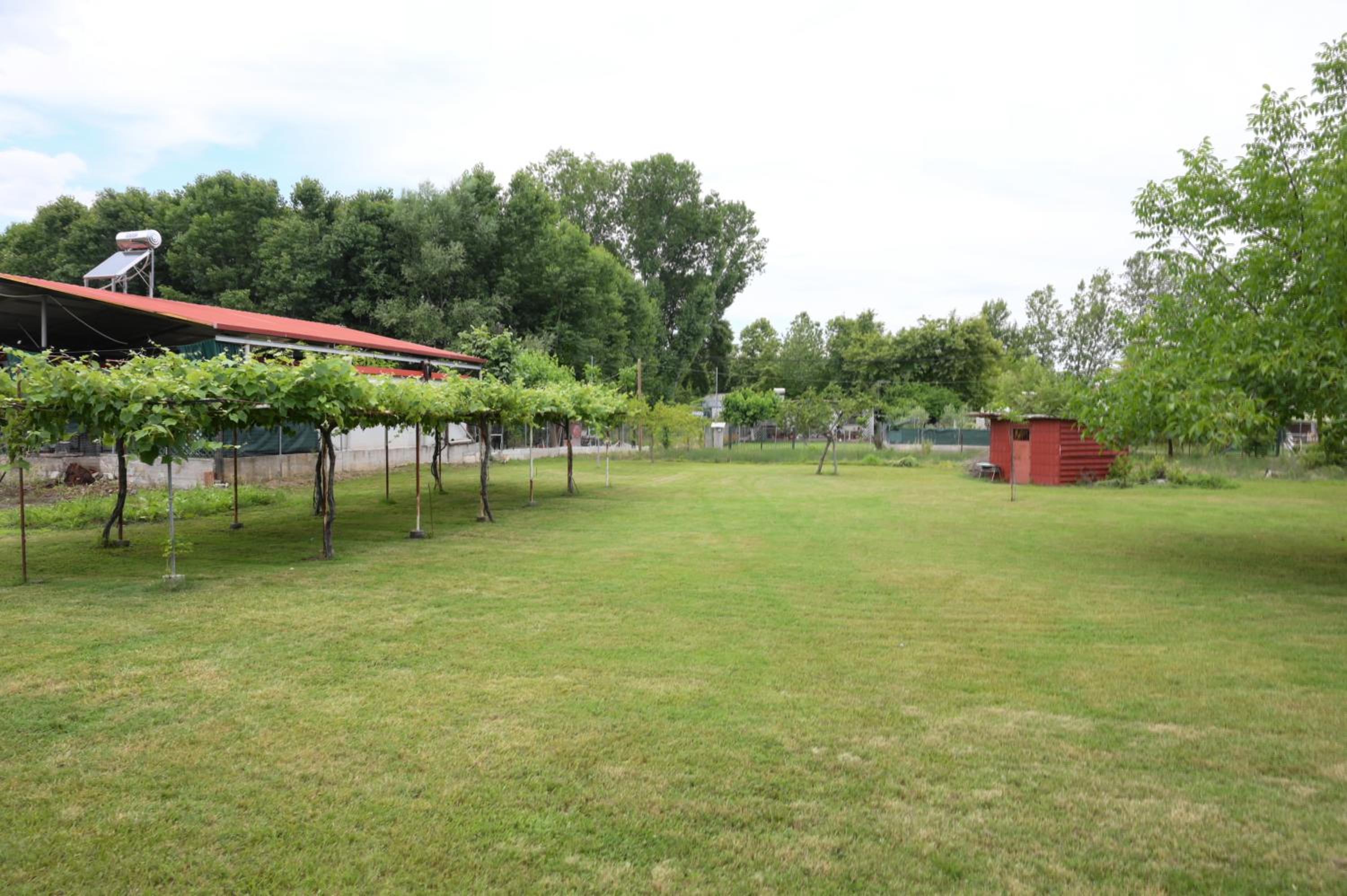 Prionas Studios