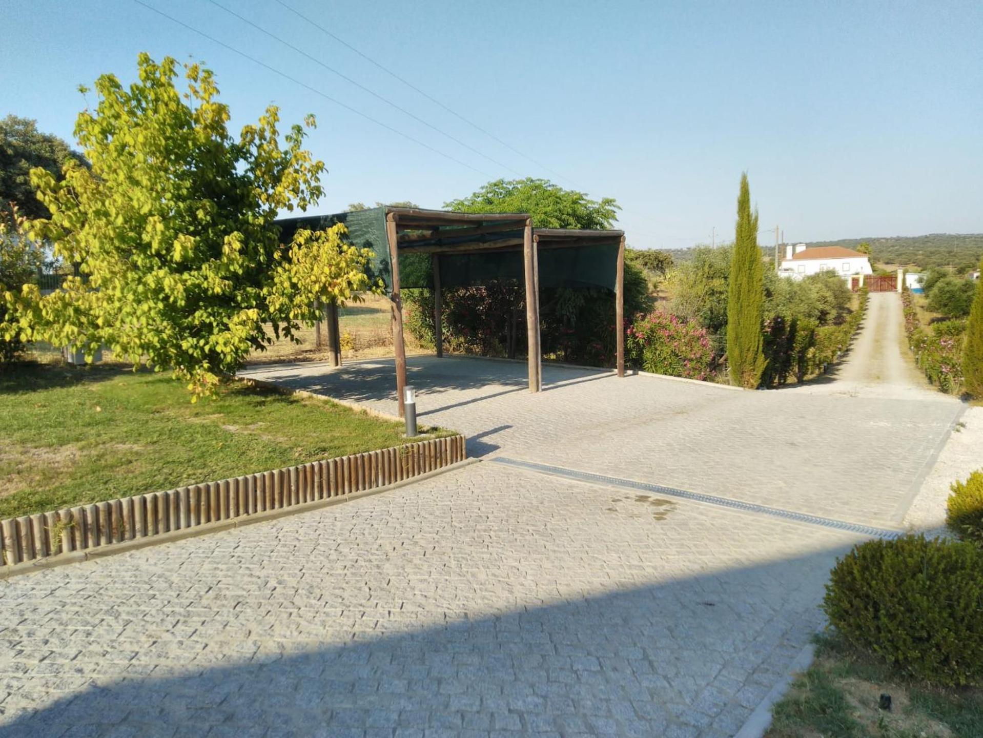 Photo 42