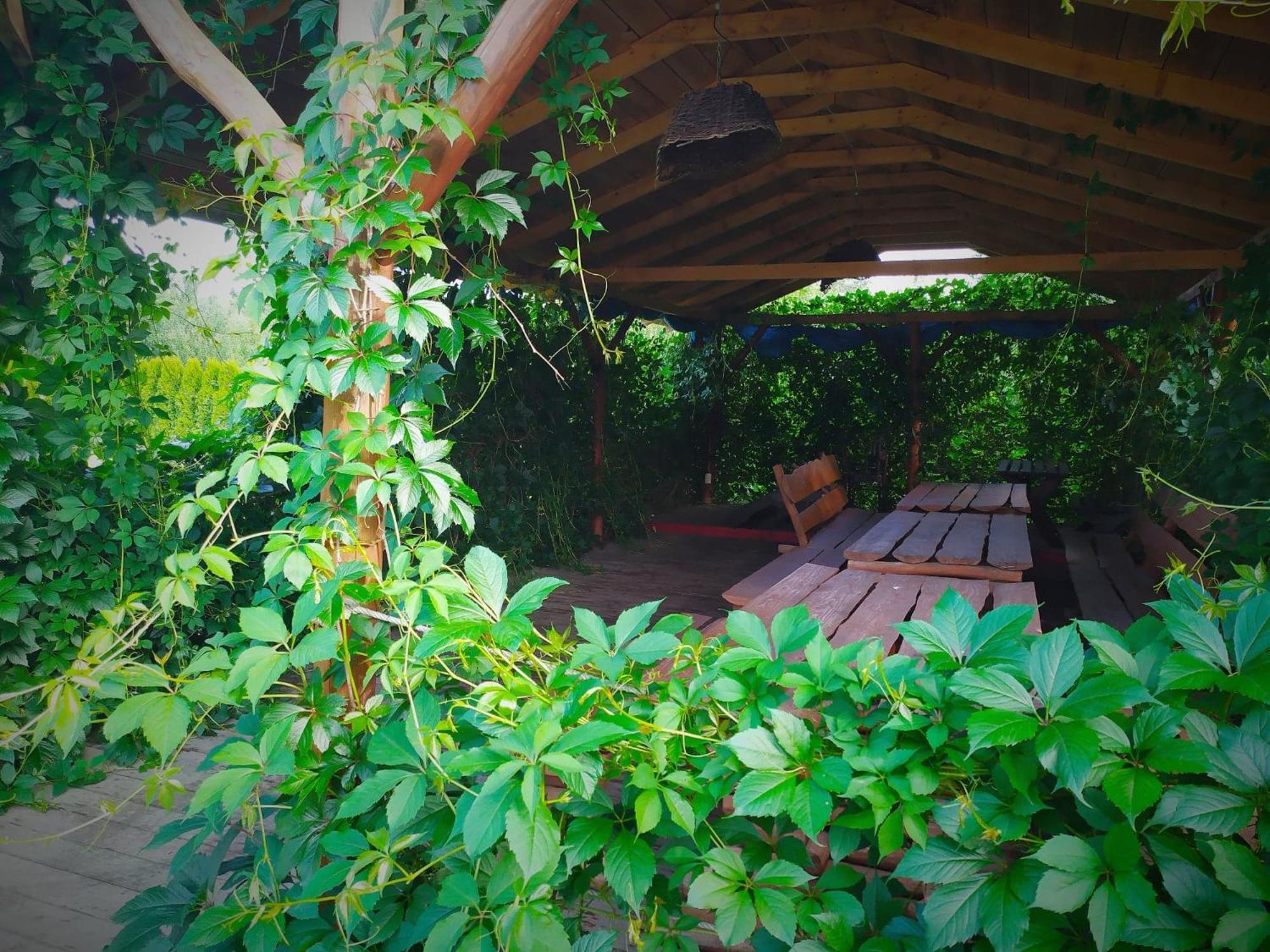 outdoor BBQ area