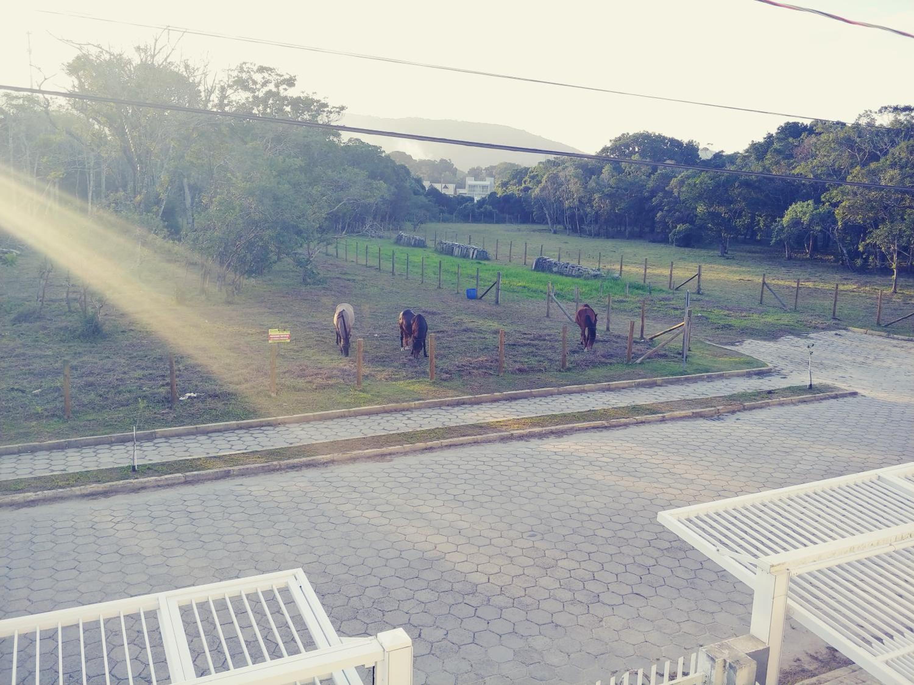 Residencial Marondas
