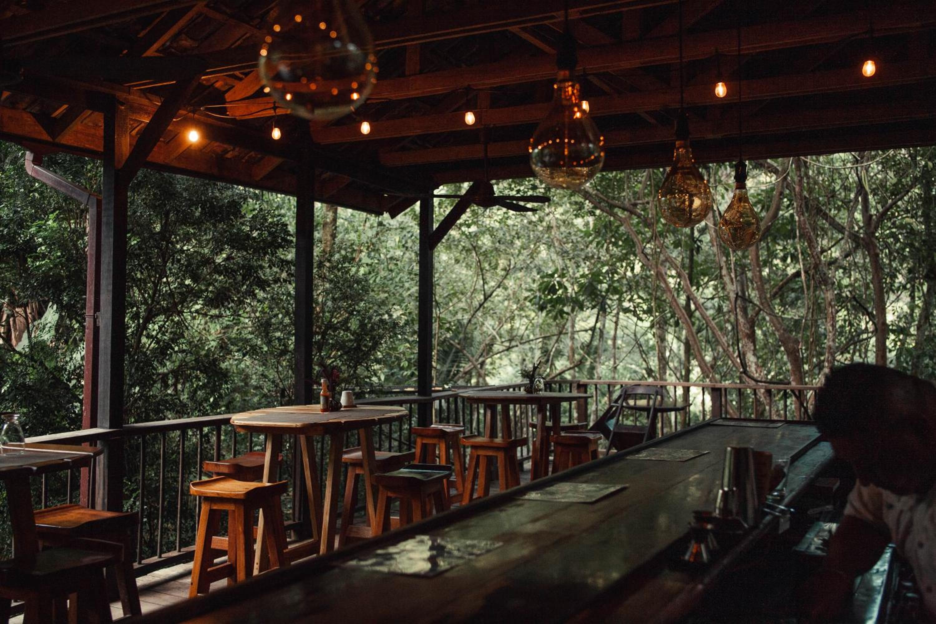Sweet Songs Jungle Lodge