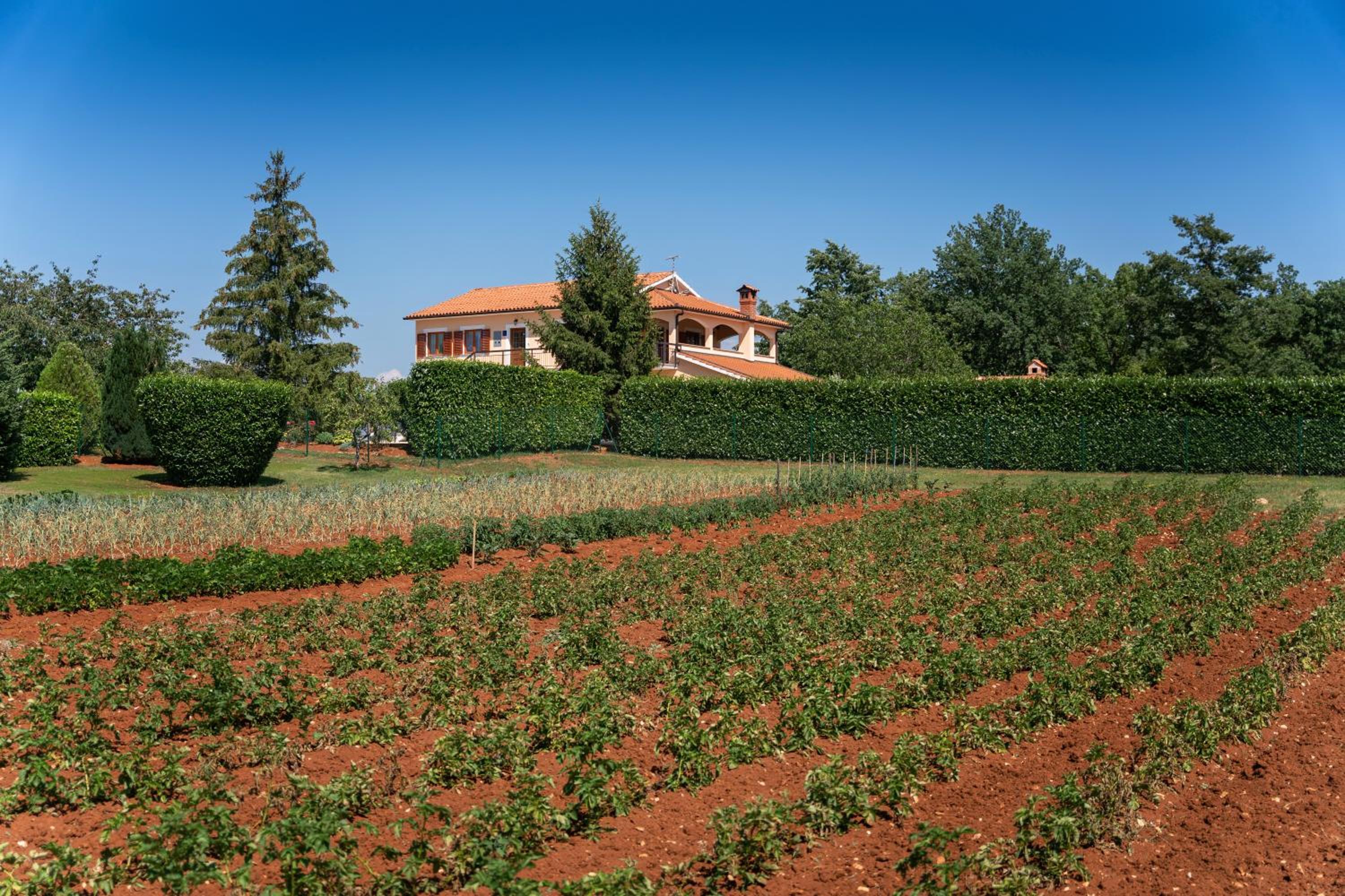 Villa Vranići view 5