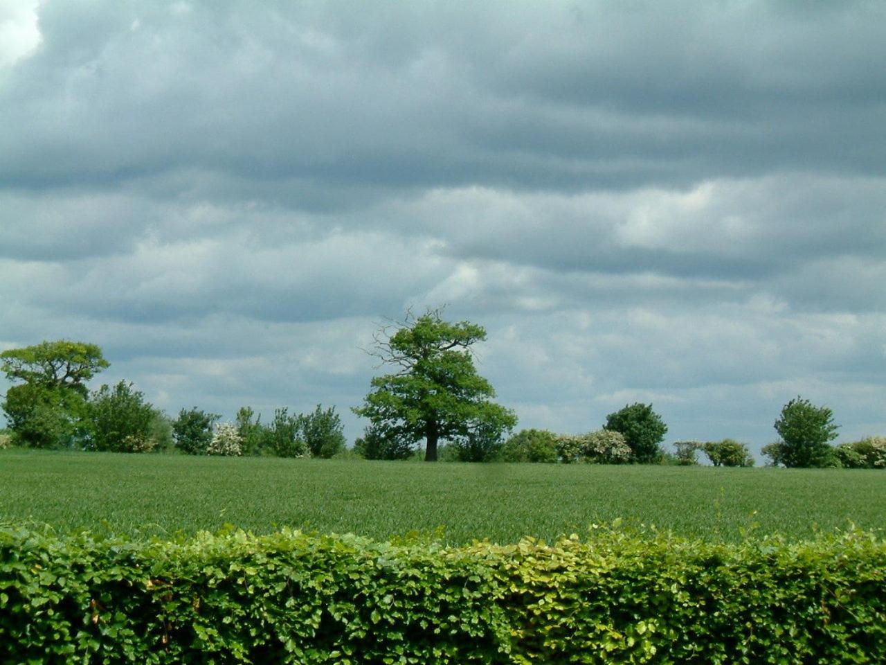 Highfield Farm view 5