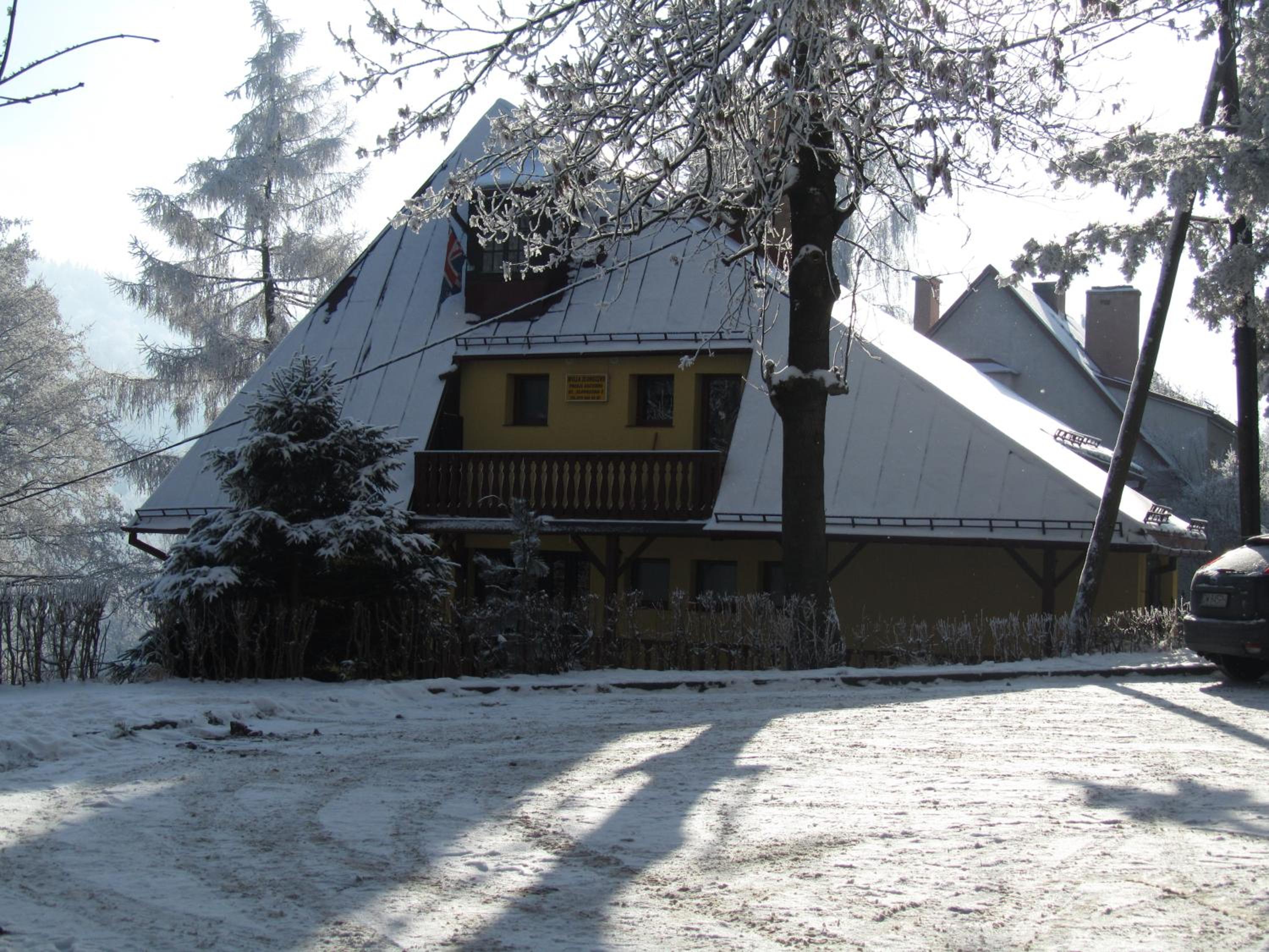 Photo 11