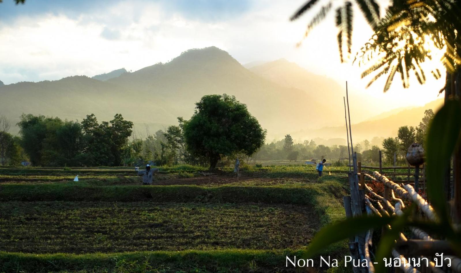 NON NA PUA - นอนนา ปัว view 5