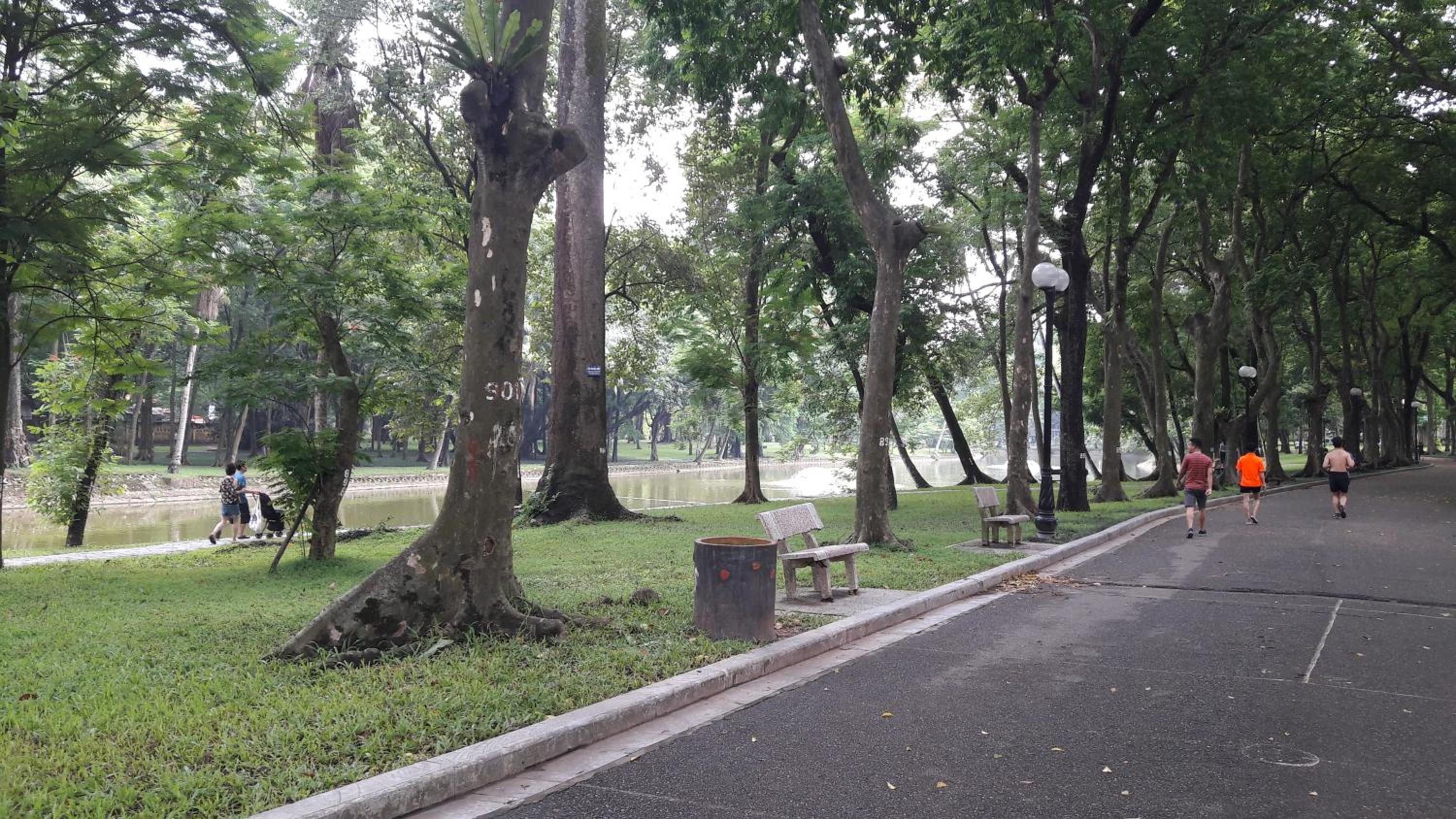 Green Homestay - Image 2