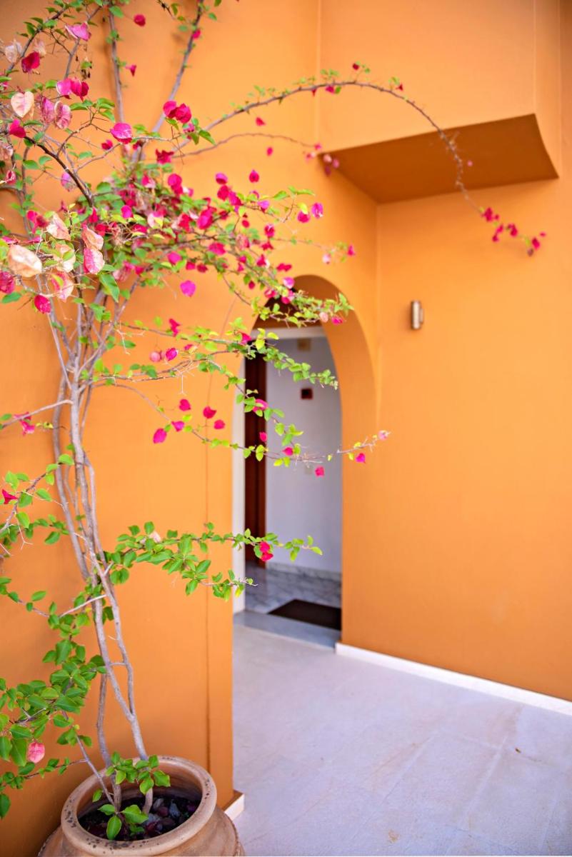 Photo 48