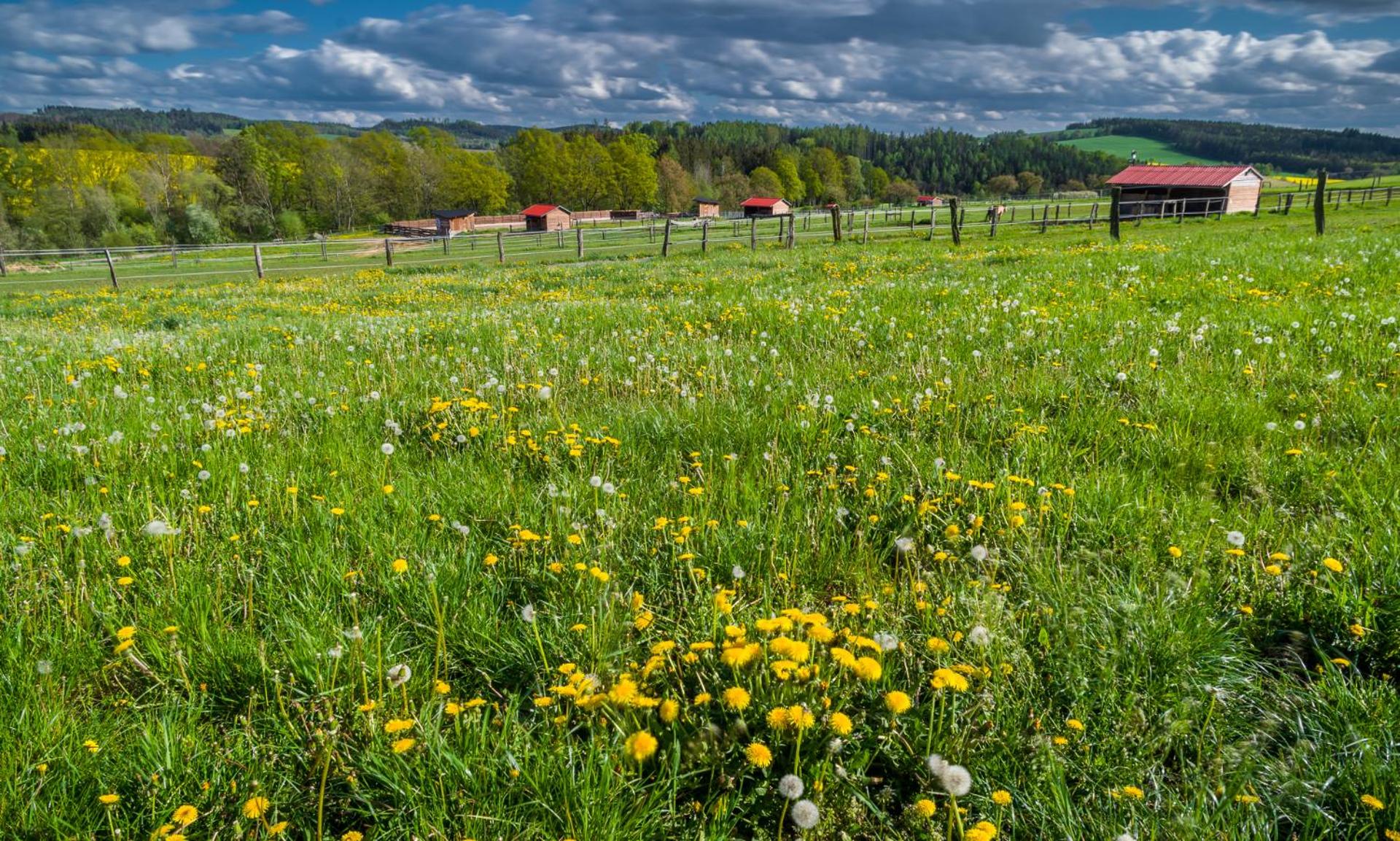 Ranch Jestřebice