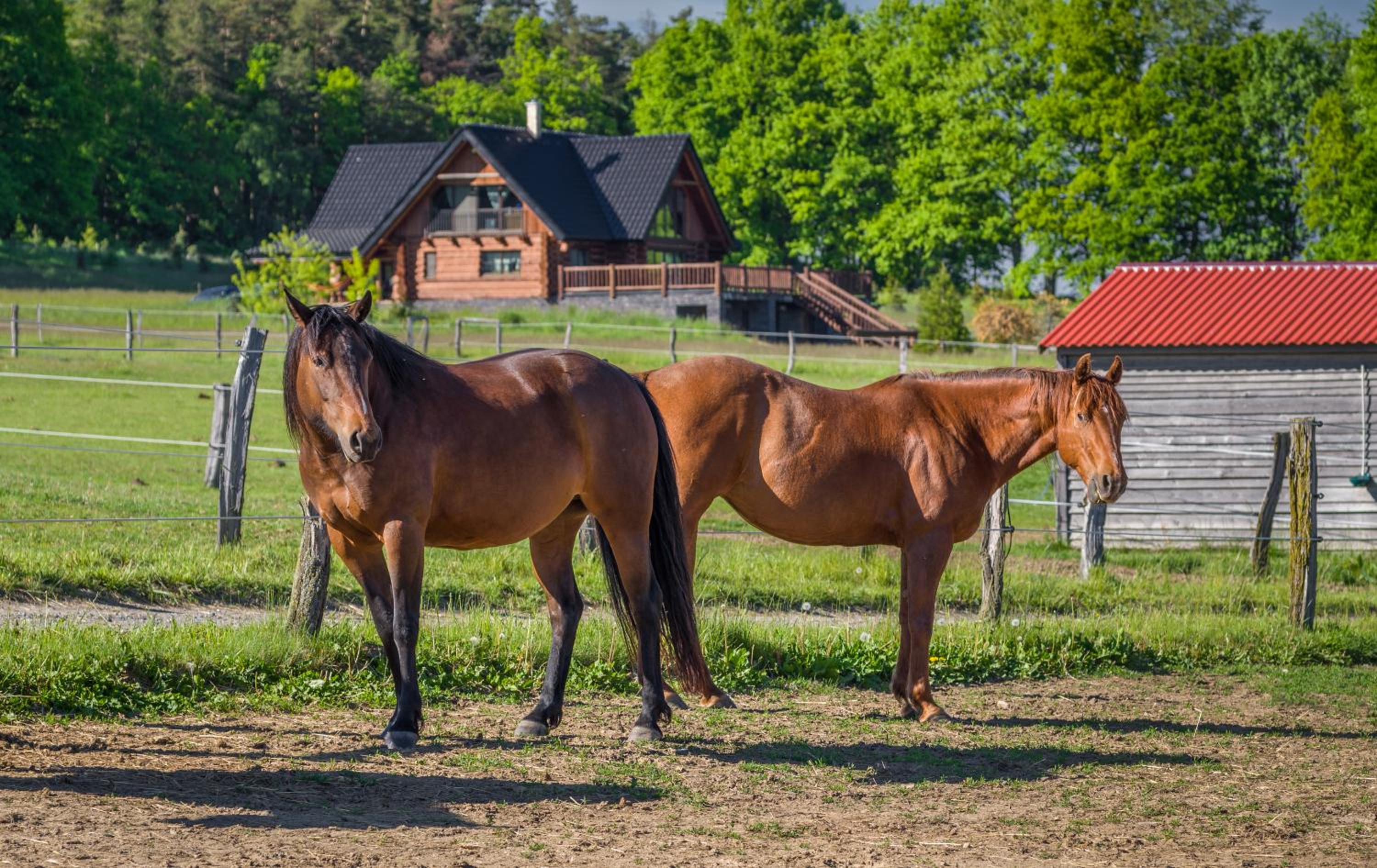 Ranch Jestřebice